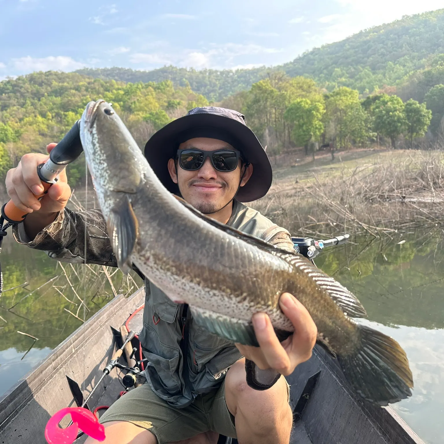 The most recent Striped snakehead catches on Fishbrain