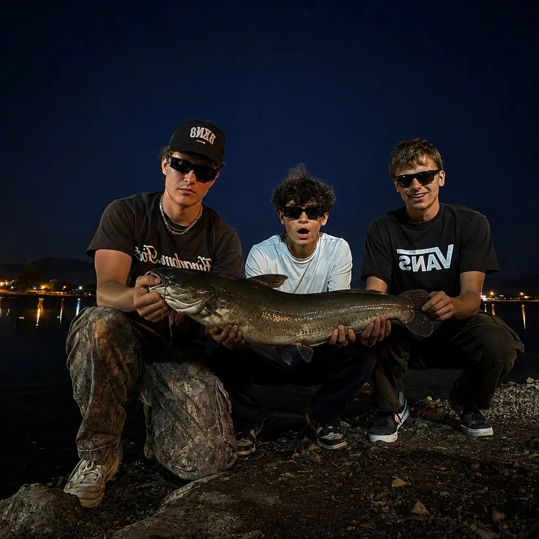 Channel catfish caught on Fishbrain