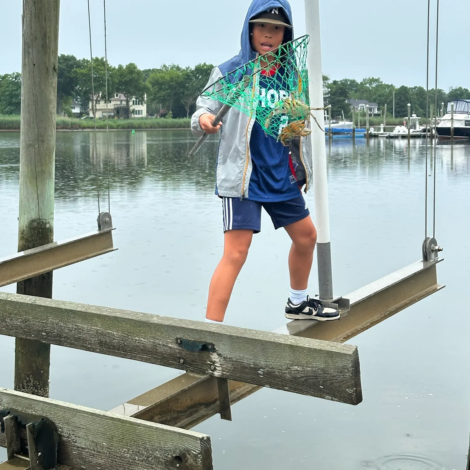 Blue crab caught on Fishbrain
