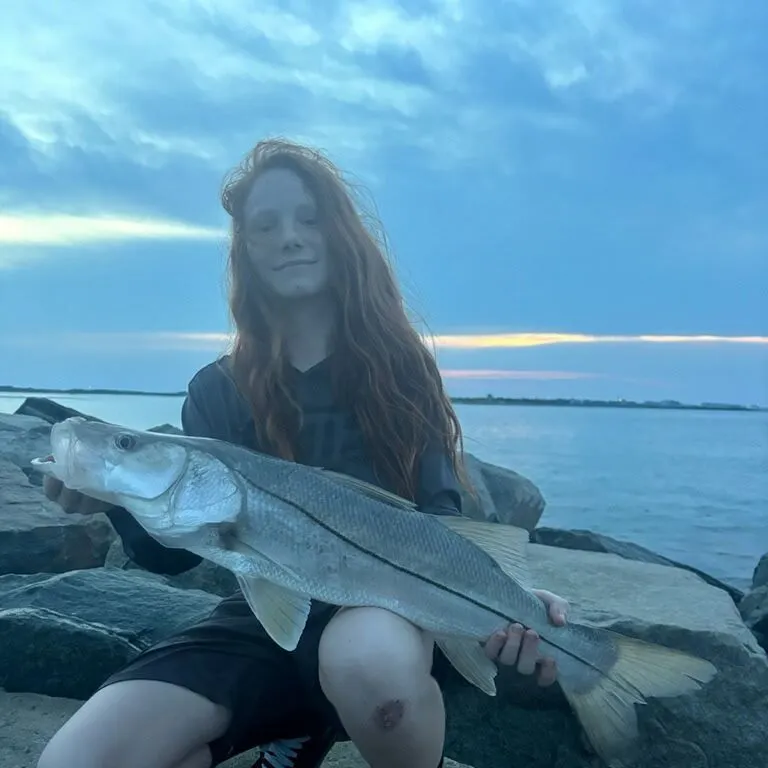 The most recent Fat snook catches on Fishbrain