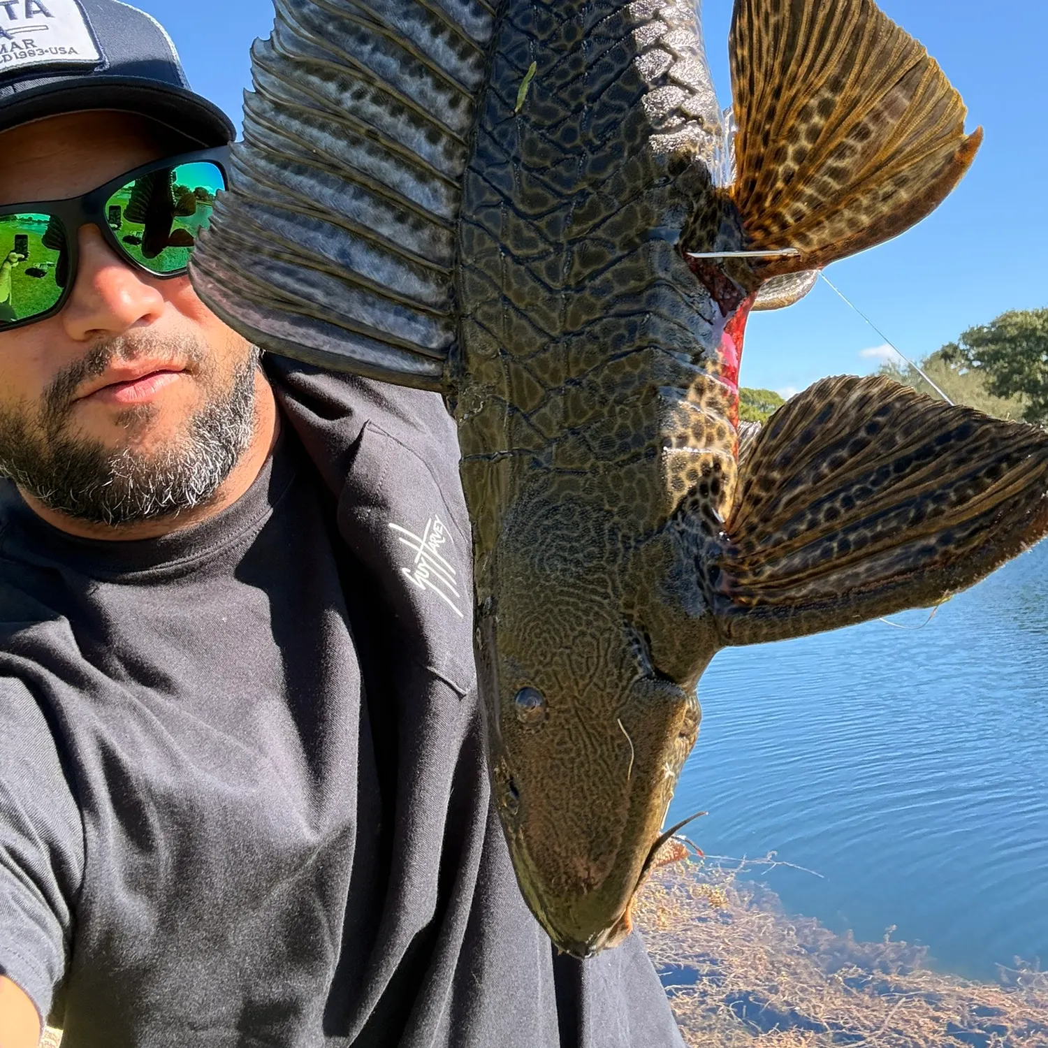 The most recent Suckermouth catfish catches on Fishbrain