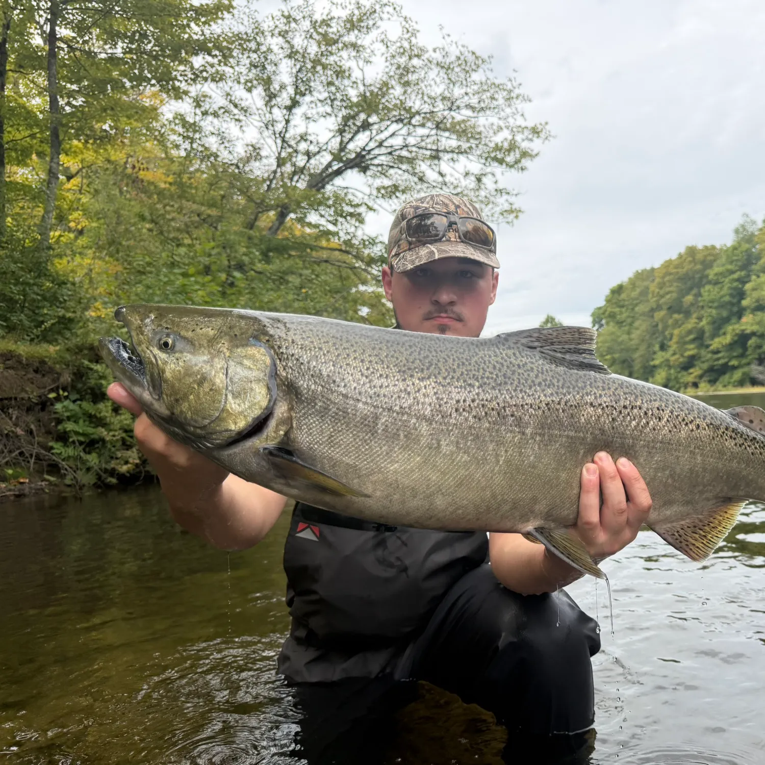 Chinook salmon caught on Fishbrain