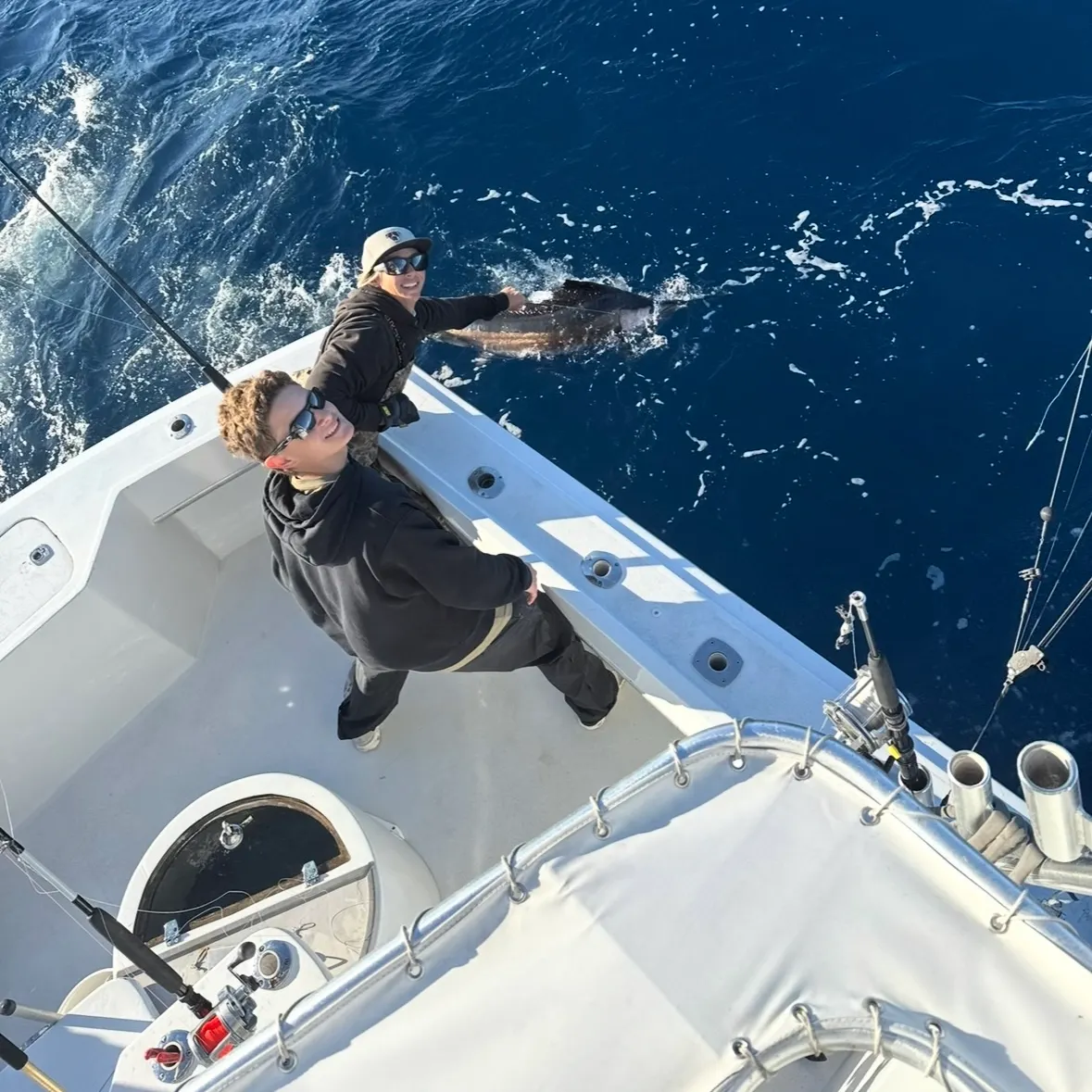 The most recent Atlantic sailfish catches on Fishbrain