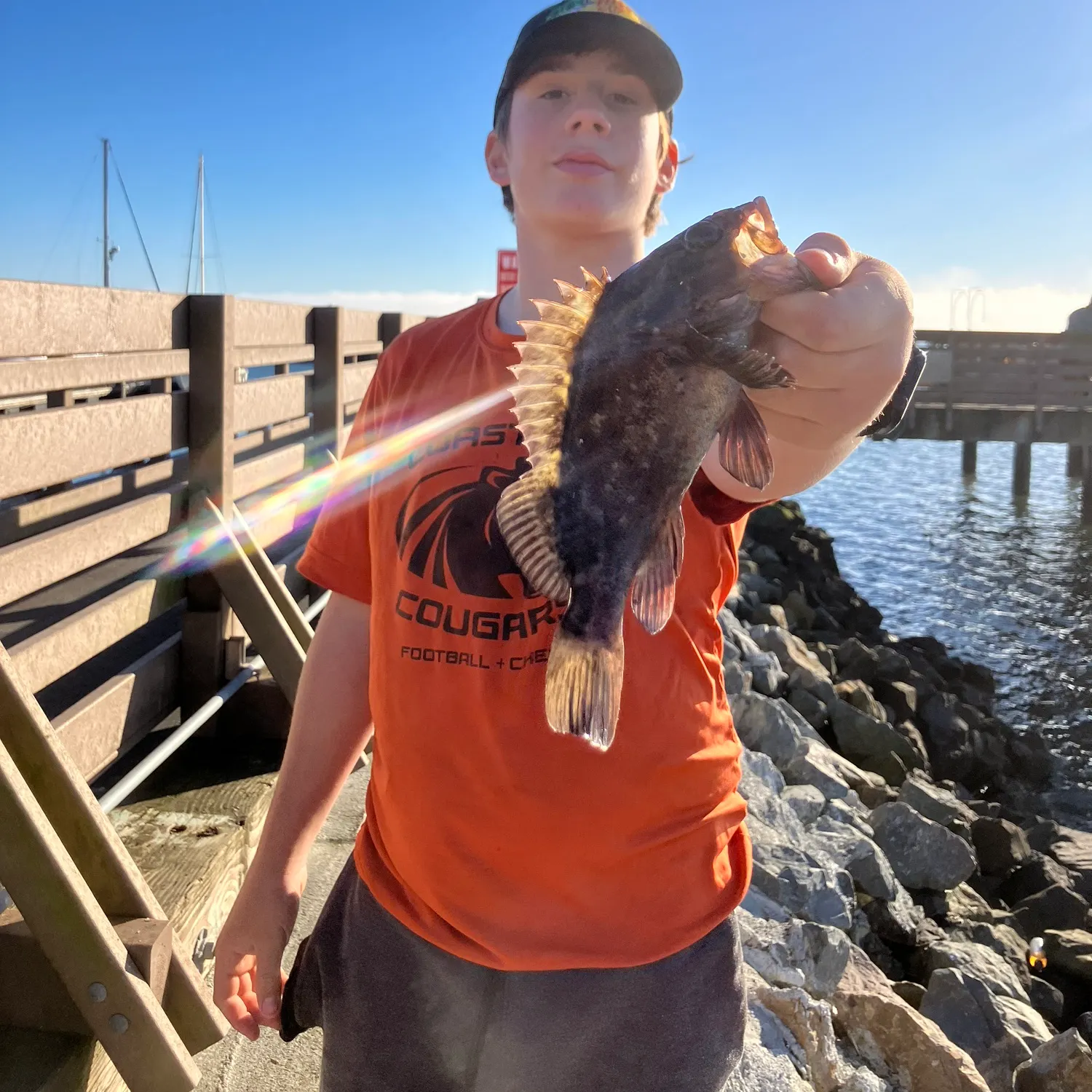 The most recent Kelp rockfish catches on Fishbrain