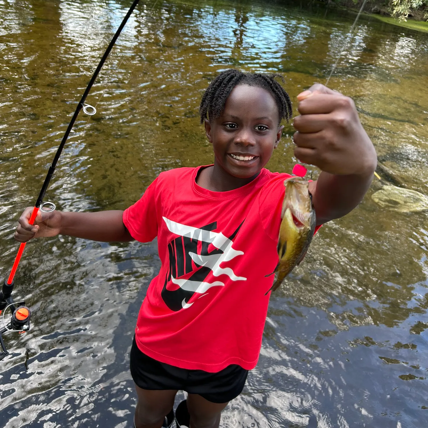 Black crappie caught on Fishbrain