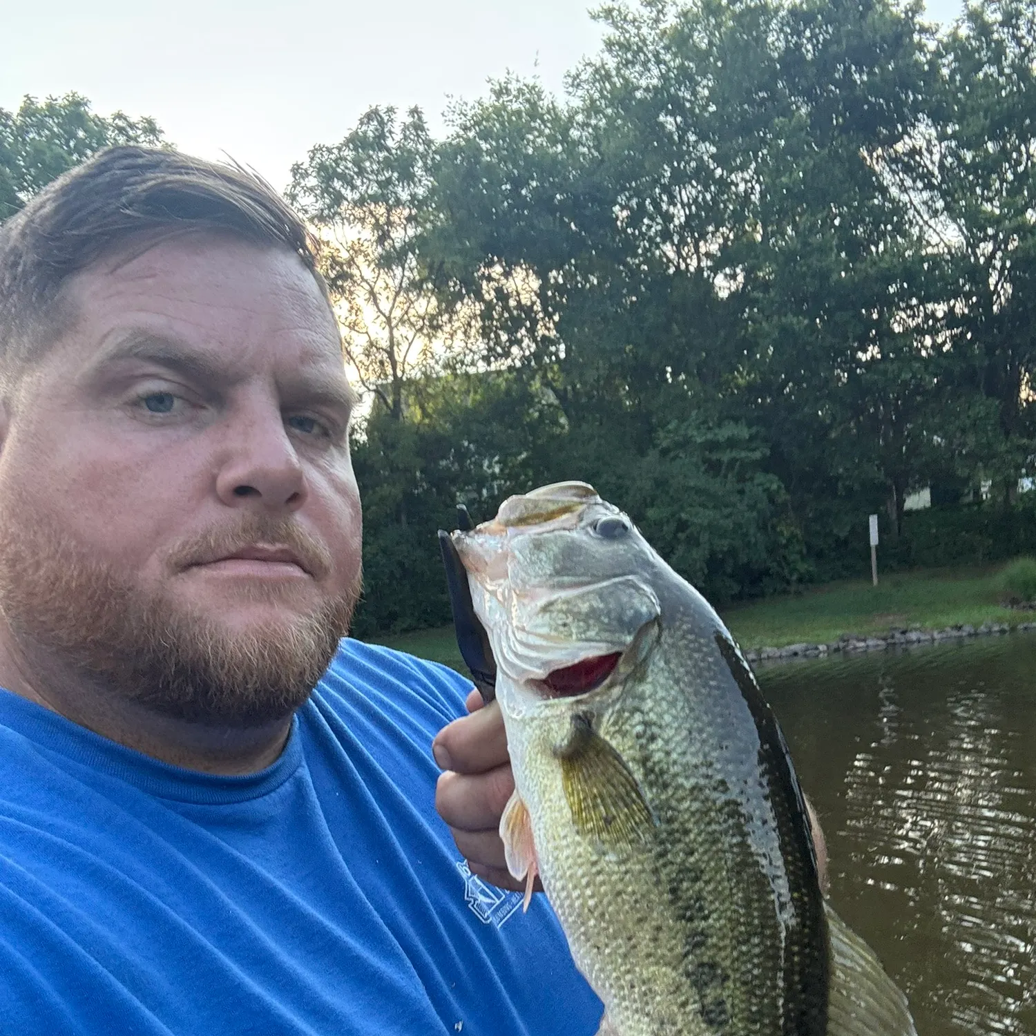 Fish caught on Fishbrain