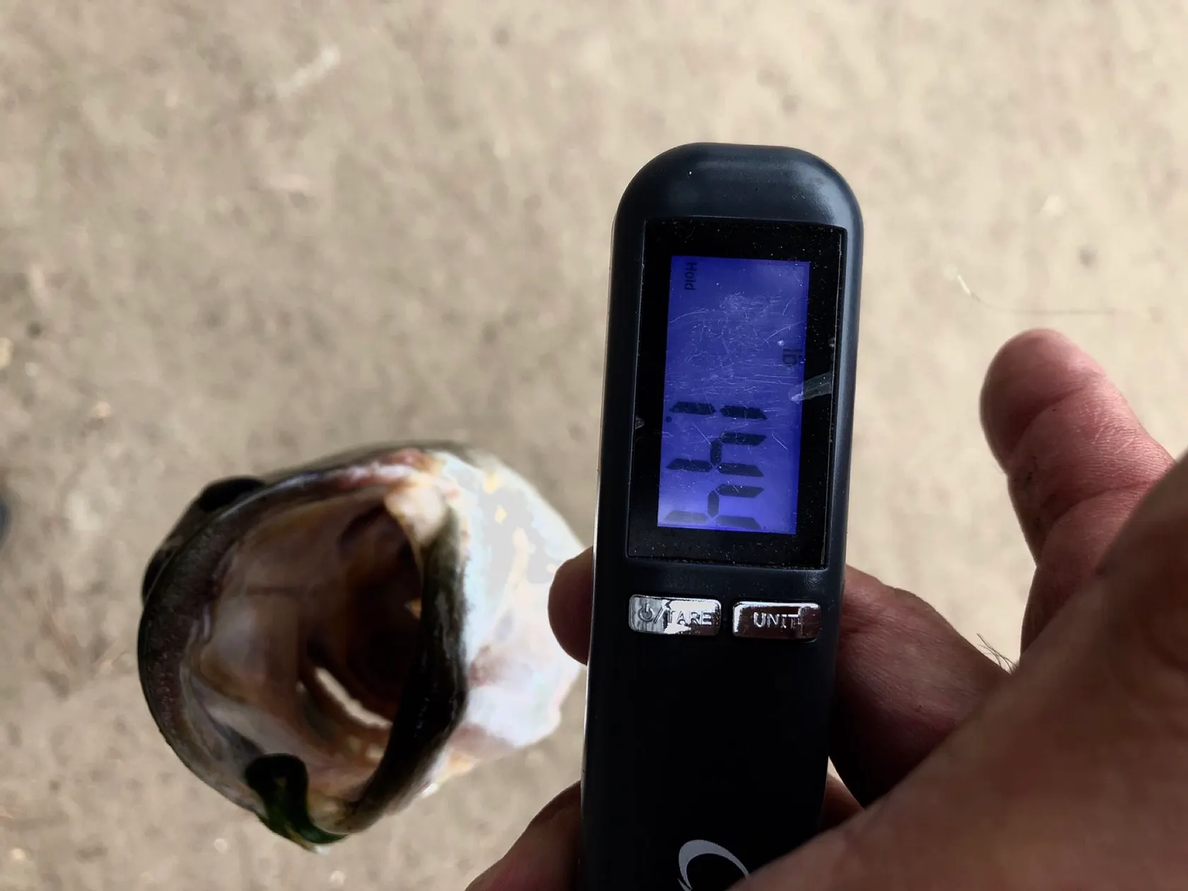 Post image from ocfabfive