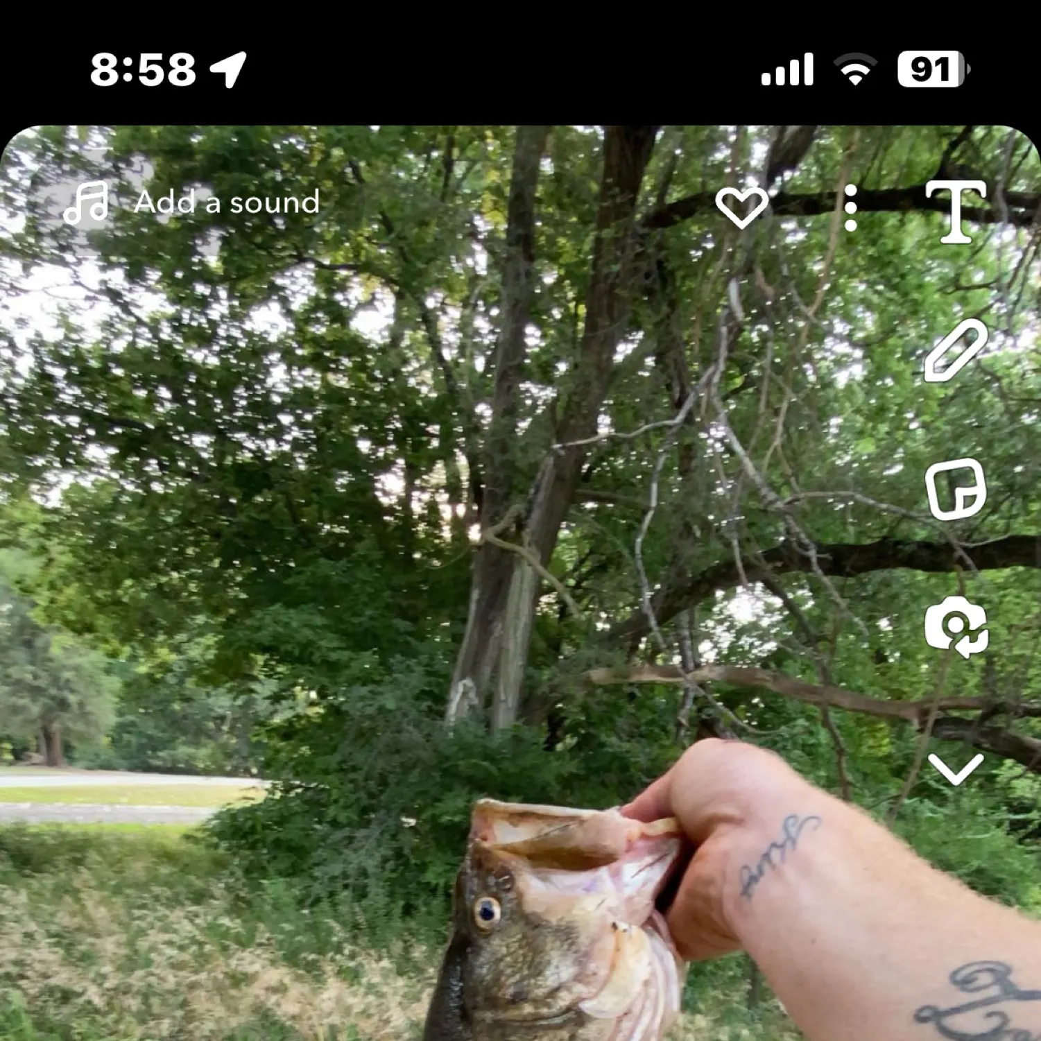 recently logged catches