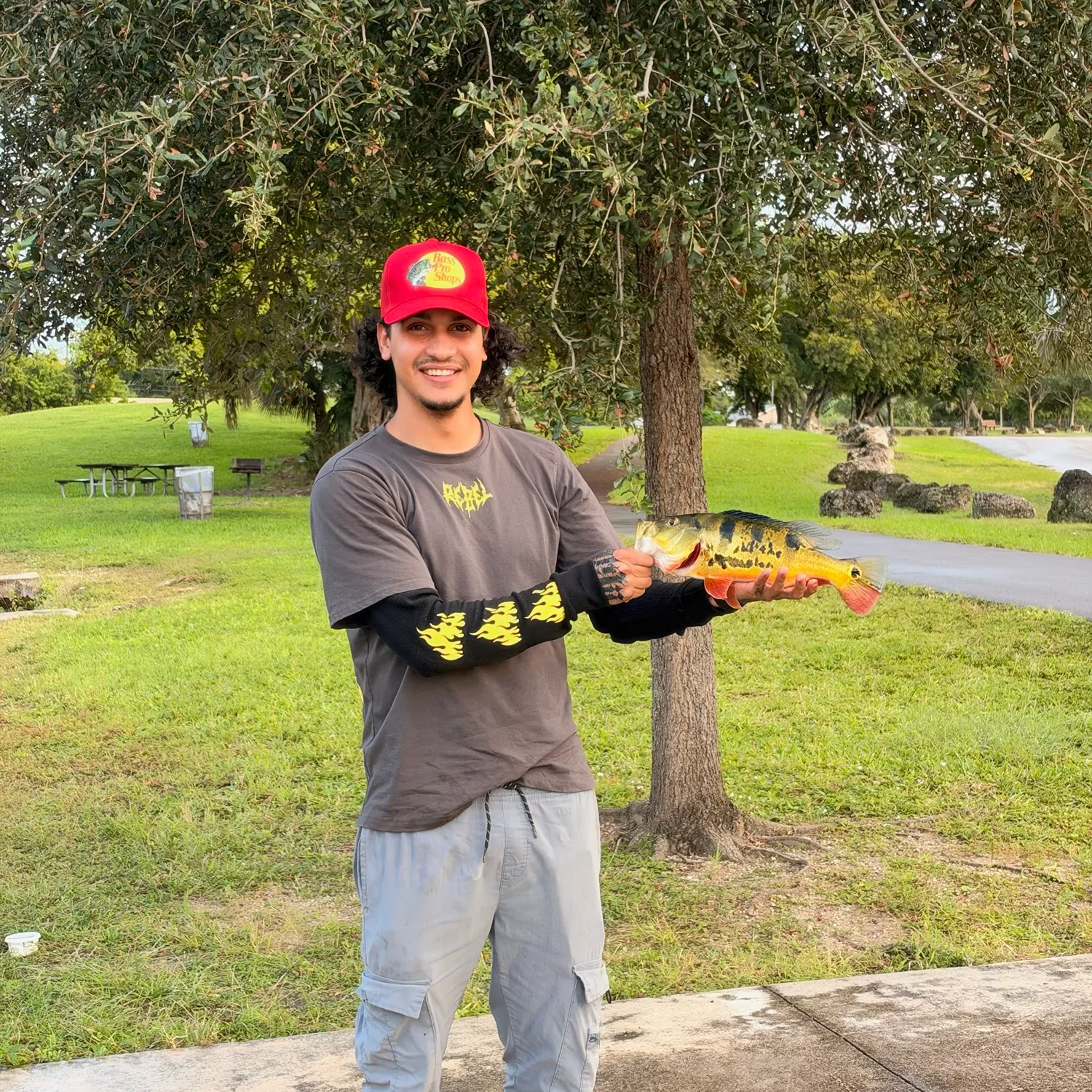 The most recent Butterfly peacock bass catches on Fishbrain