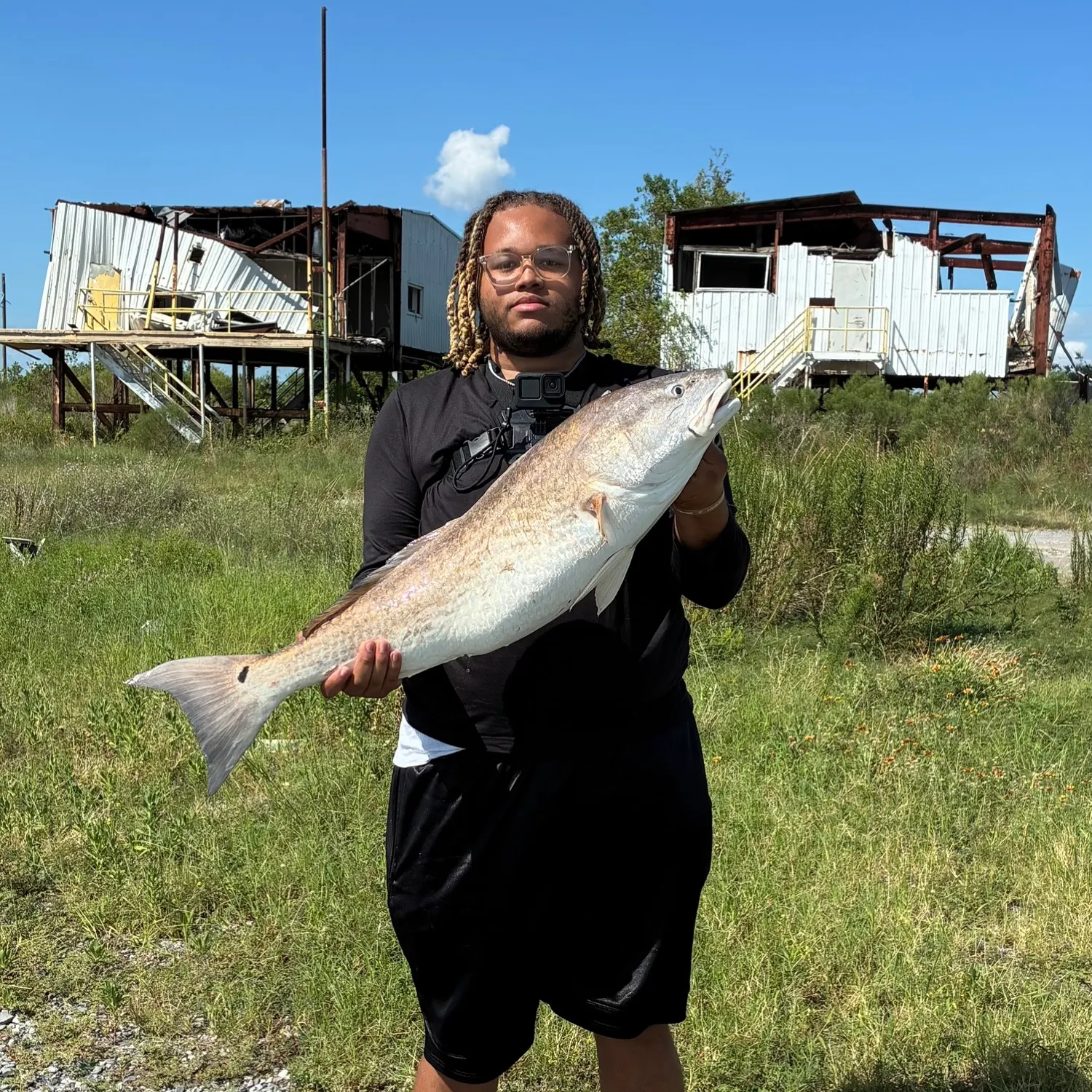 Red drum caught on Fishbrain