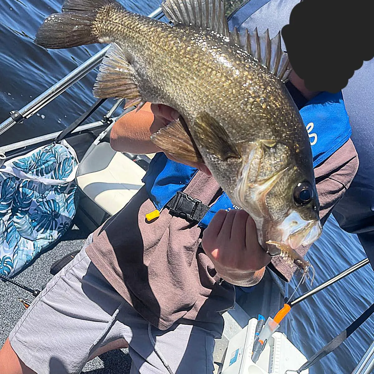 The most recent Estuary perch catches on Fishbrain