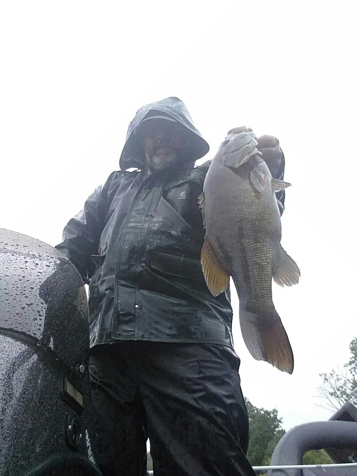 Post image from gottabass