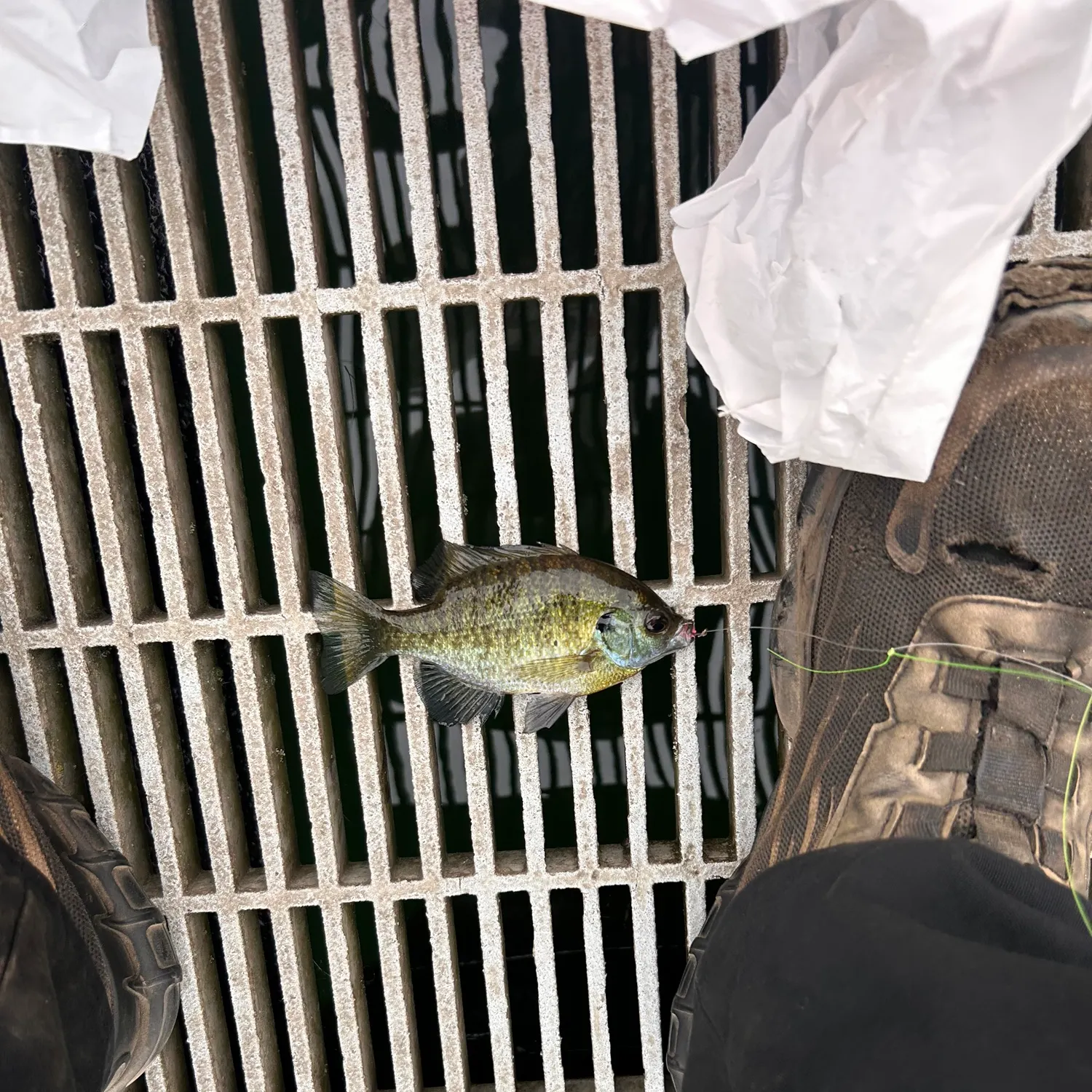 catch