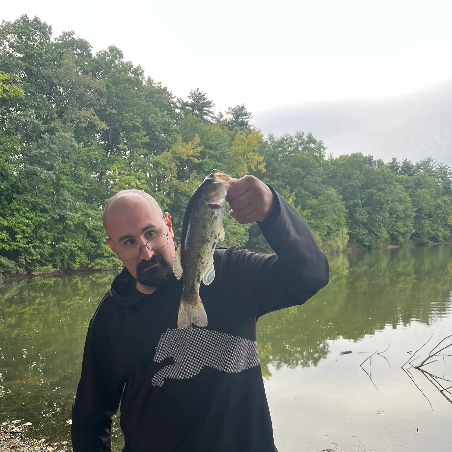 Largemouth bass caught on Fishbrain
