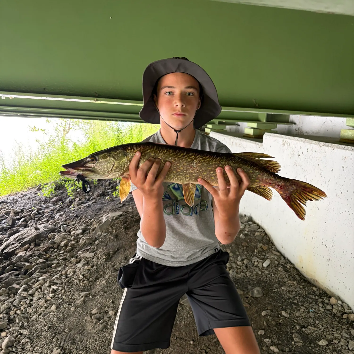 Northern pike caught on Fishbrain