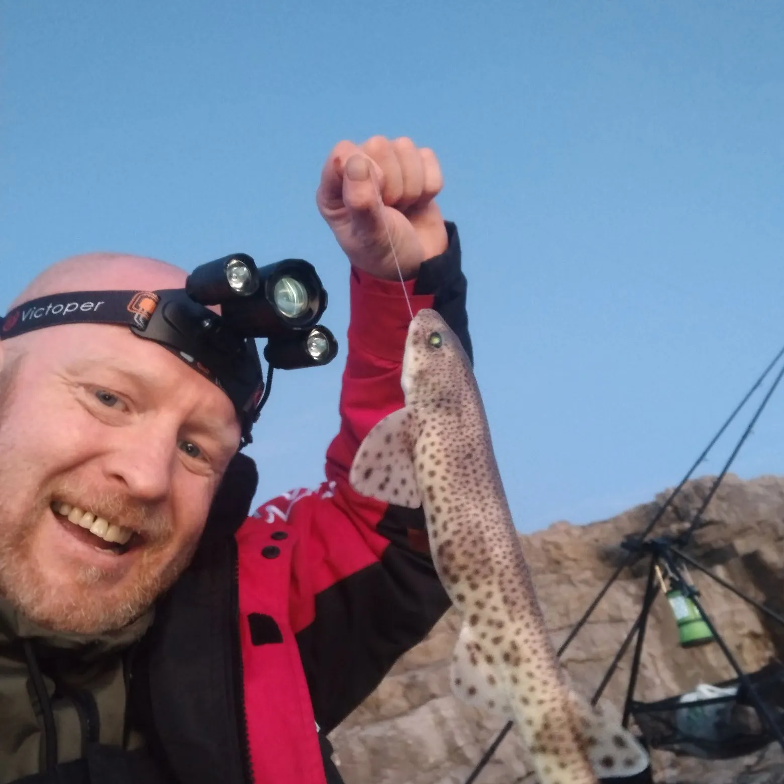 The most recent Lesser spotted dogfish catches on Fishbrain