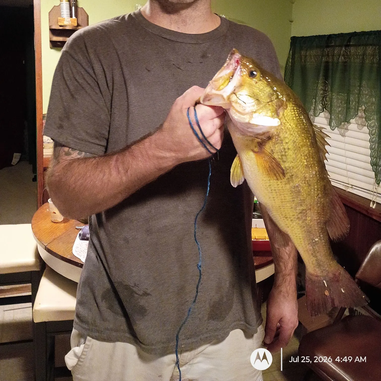 recently logged catches