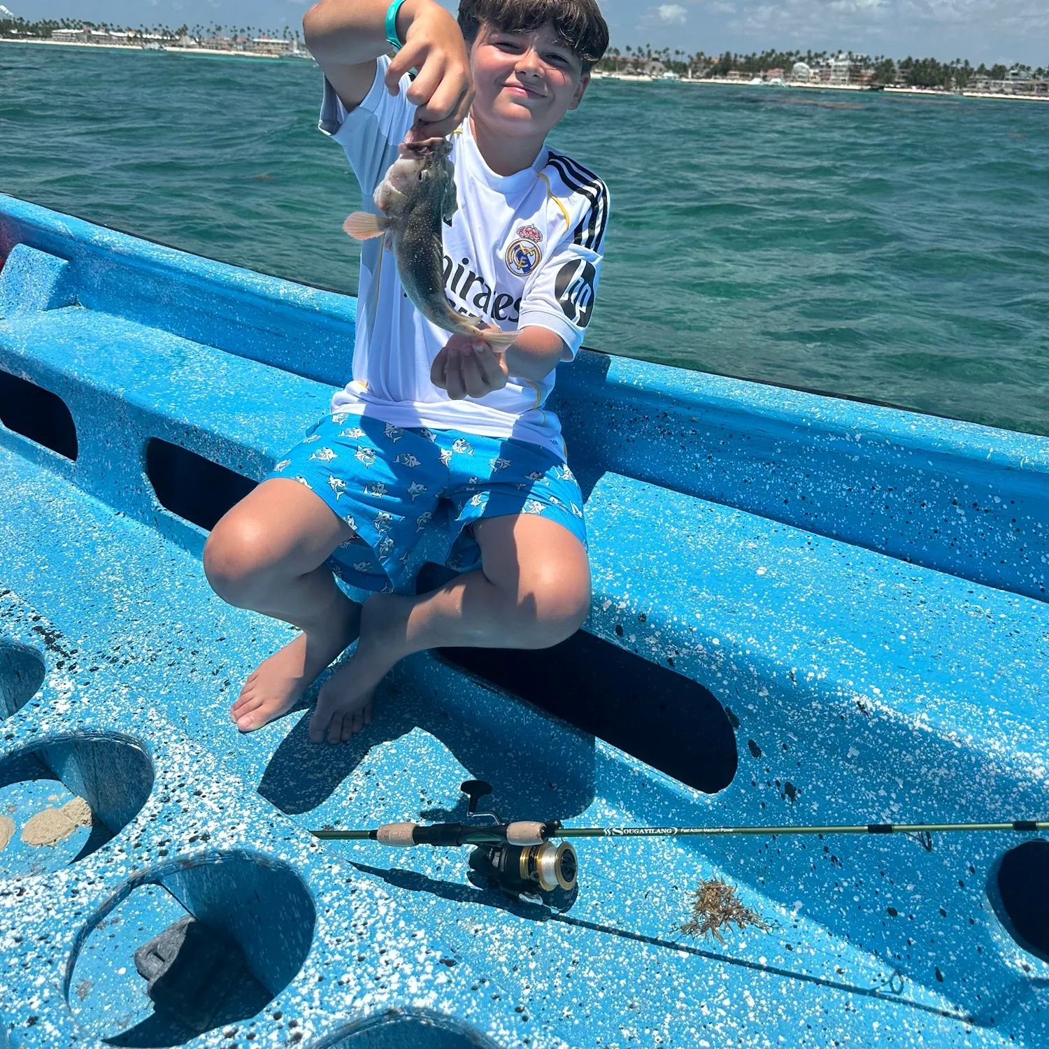 The most recent Spotted grouper catches on Fishbrain