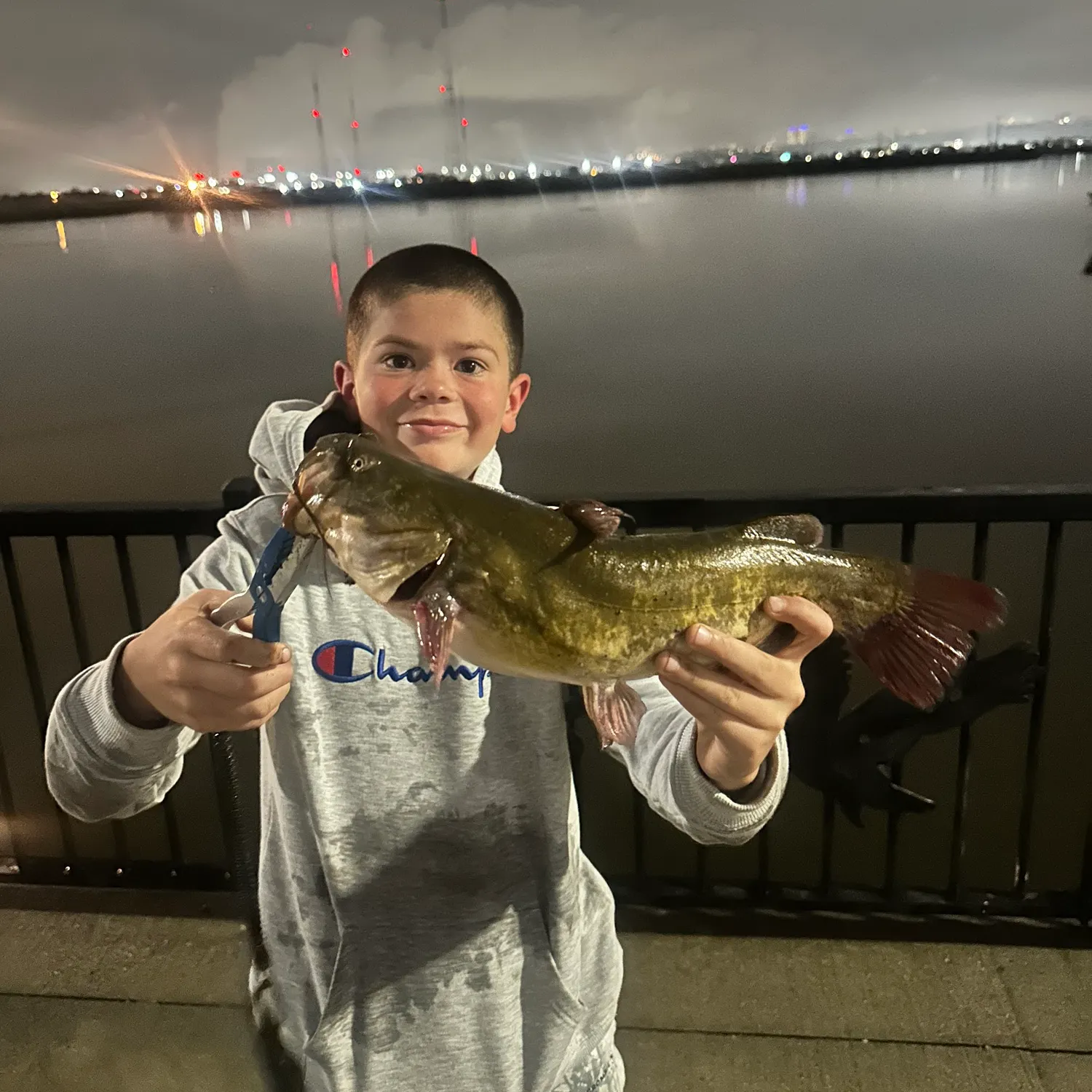Brown bullhead caught on Fishbrain