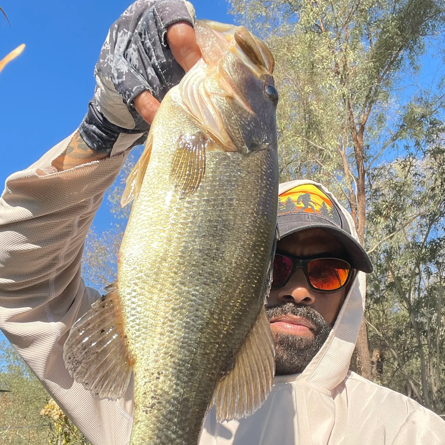 The most recent Largemouth bass catches on Fishbrain
