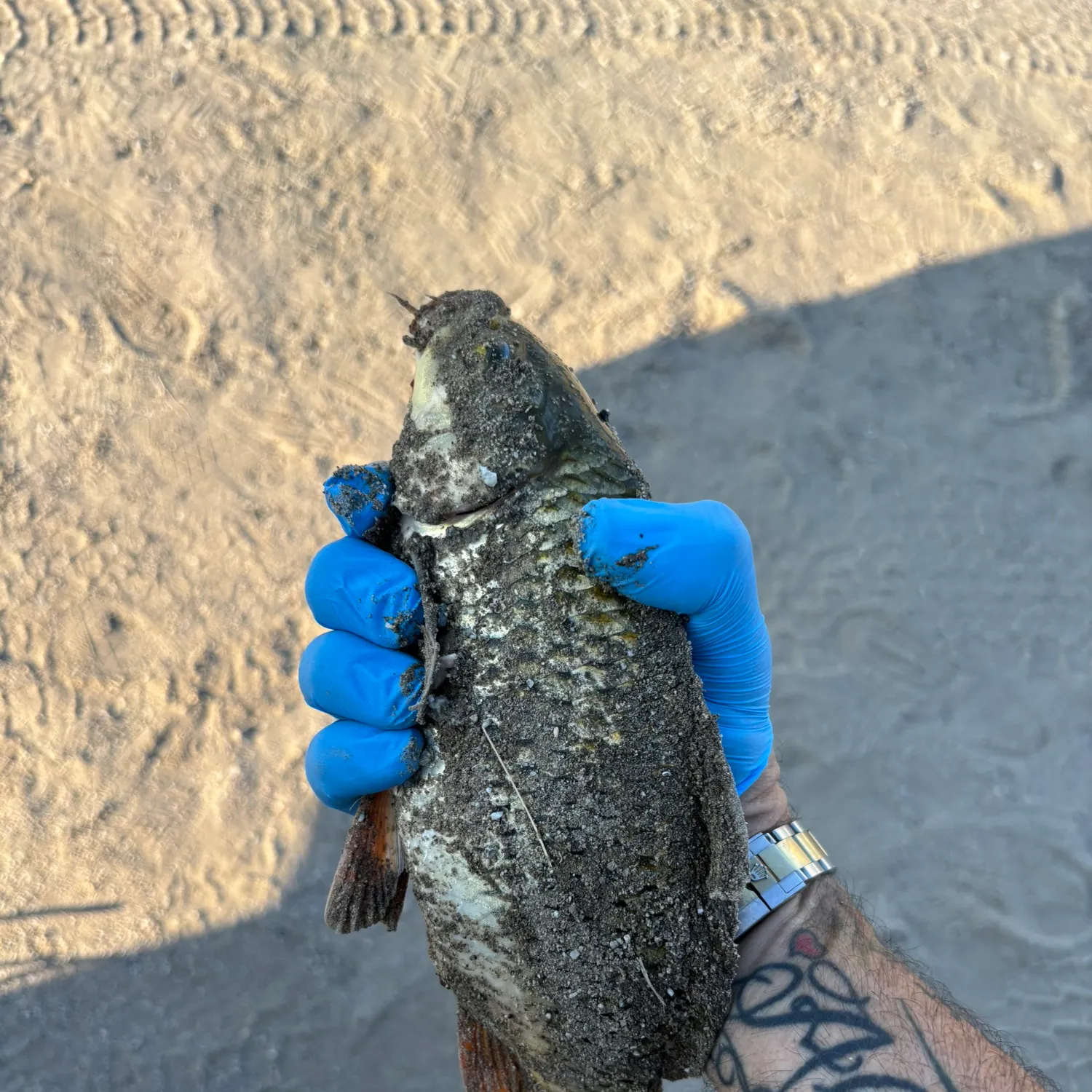 catch