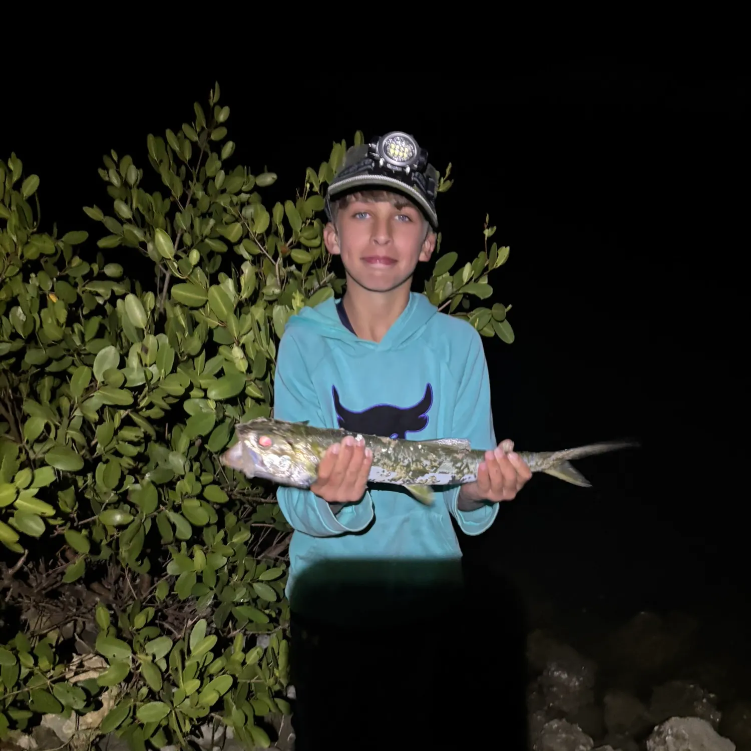 The most recent Ladyfish catches on Fishbrain
