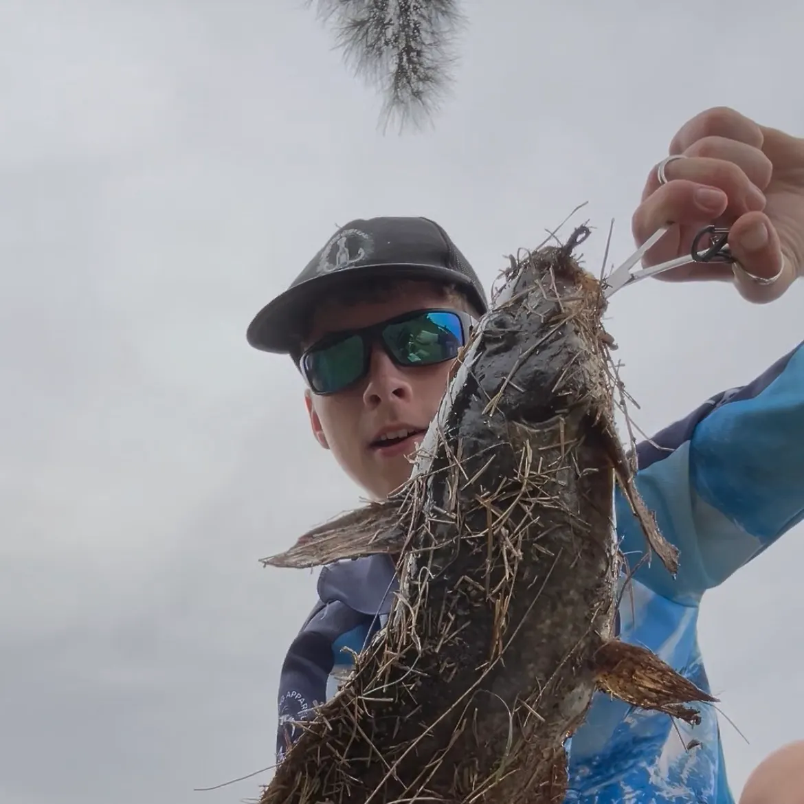 The most recent Dewfish catches on Fishbrain