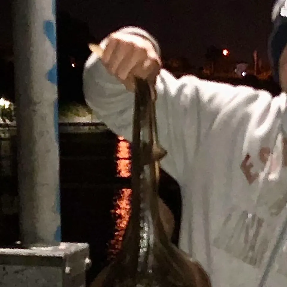 Southern fiddler caught on Fishbrain
