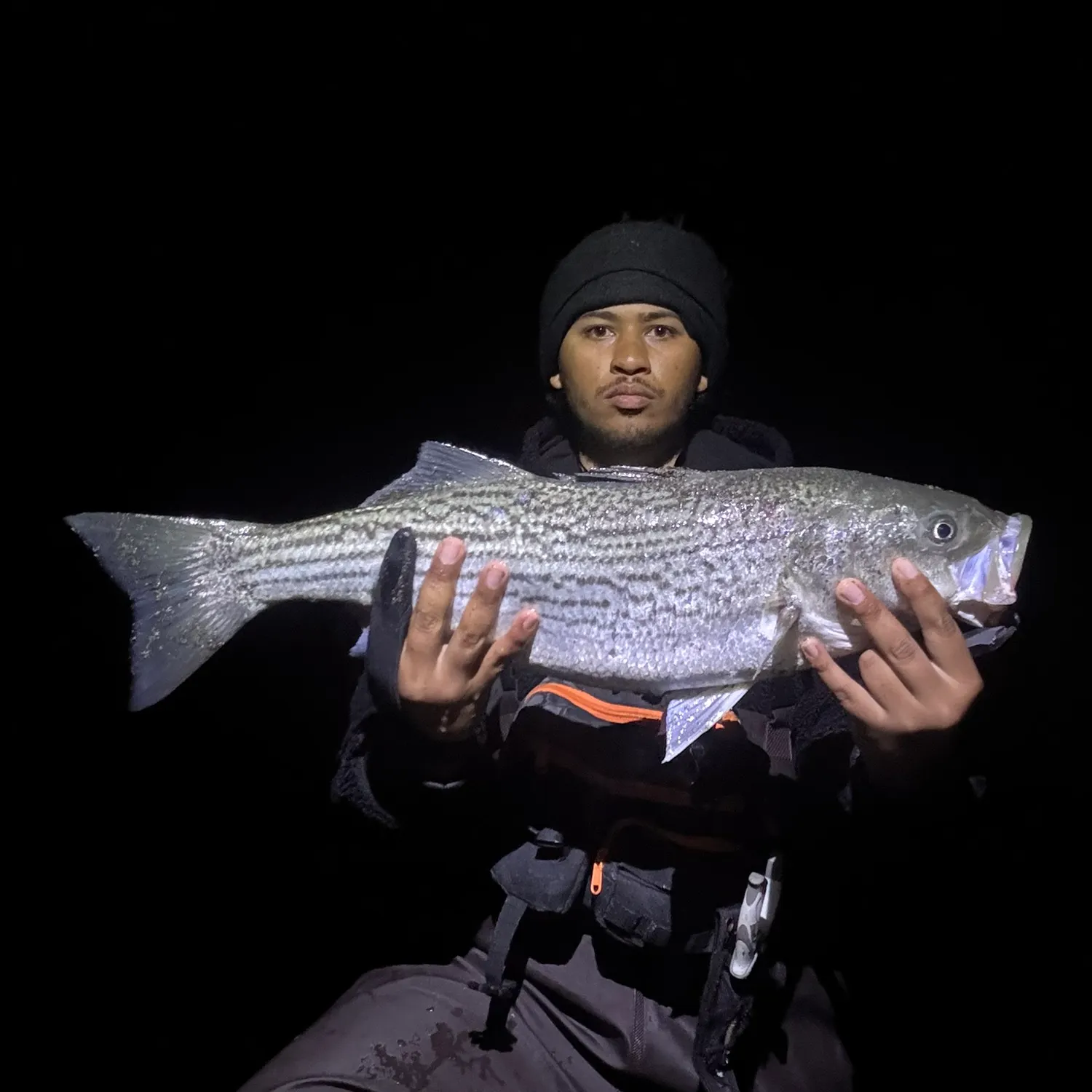 The most recent Striped bass catches on Fishbrain