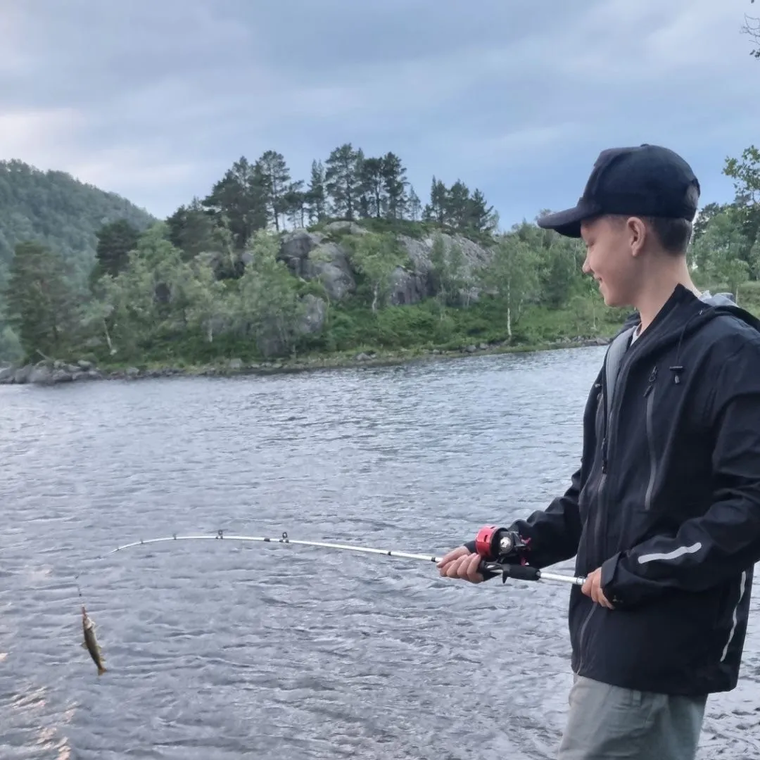 The most recent Lake trout catches on Fishbrain