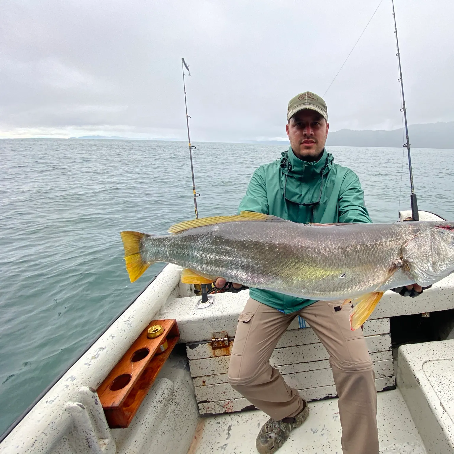 The most recent Giant sea bass catches on Fishbrain