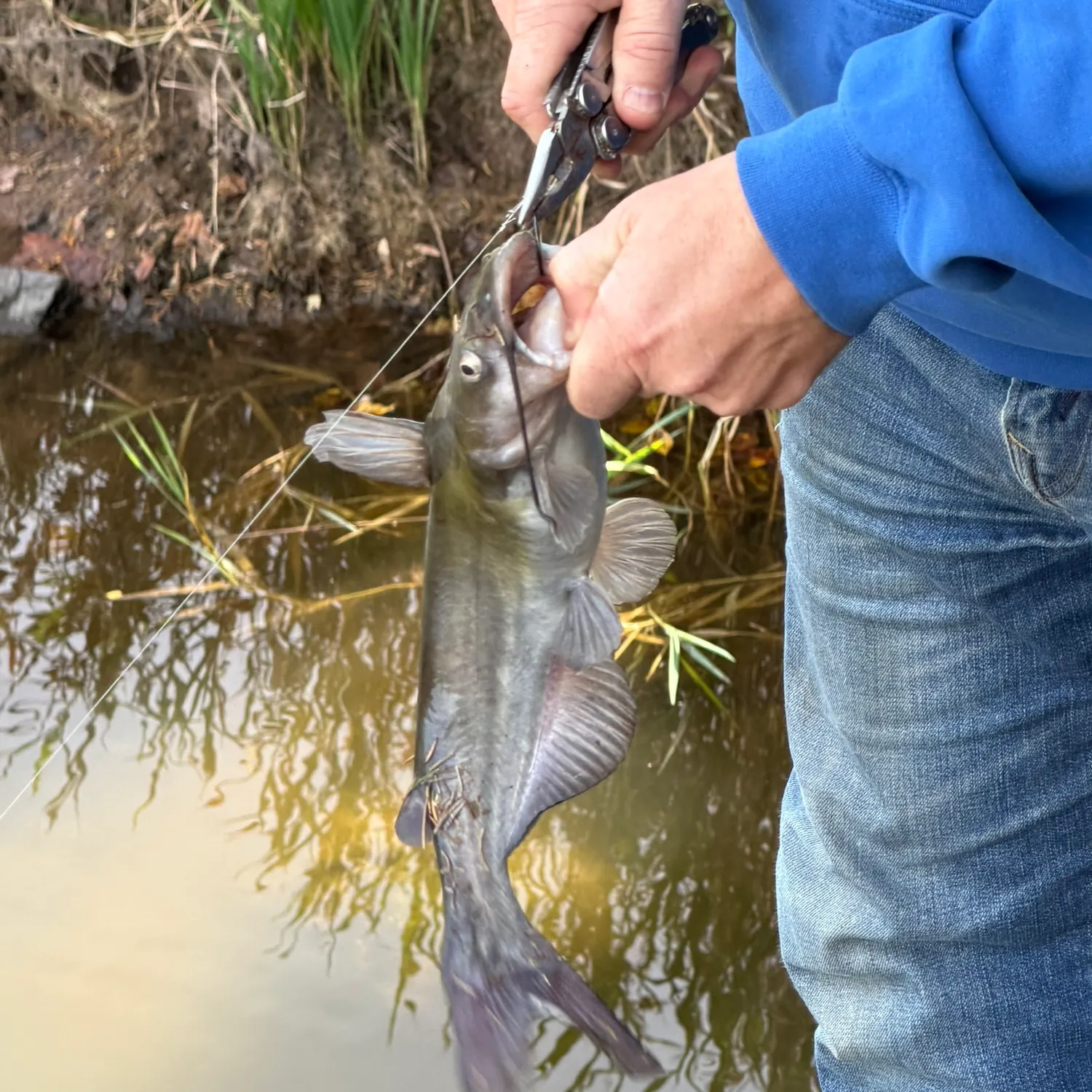 catch