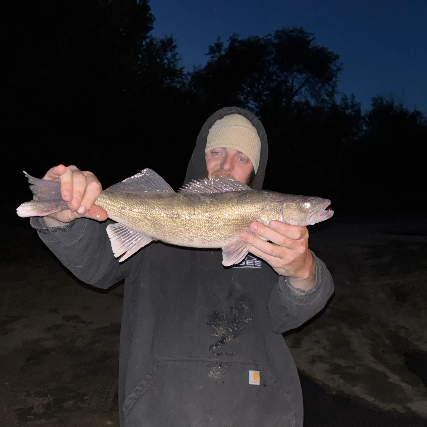 Walleye caught on Fishbrain