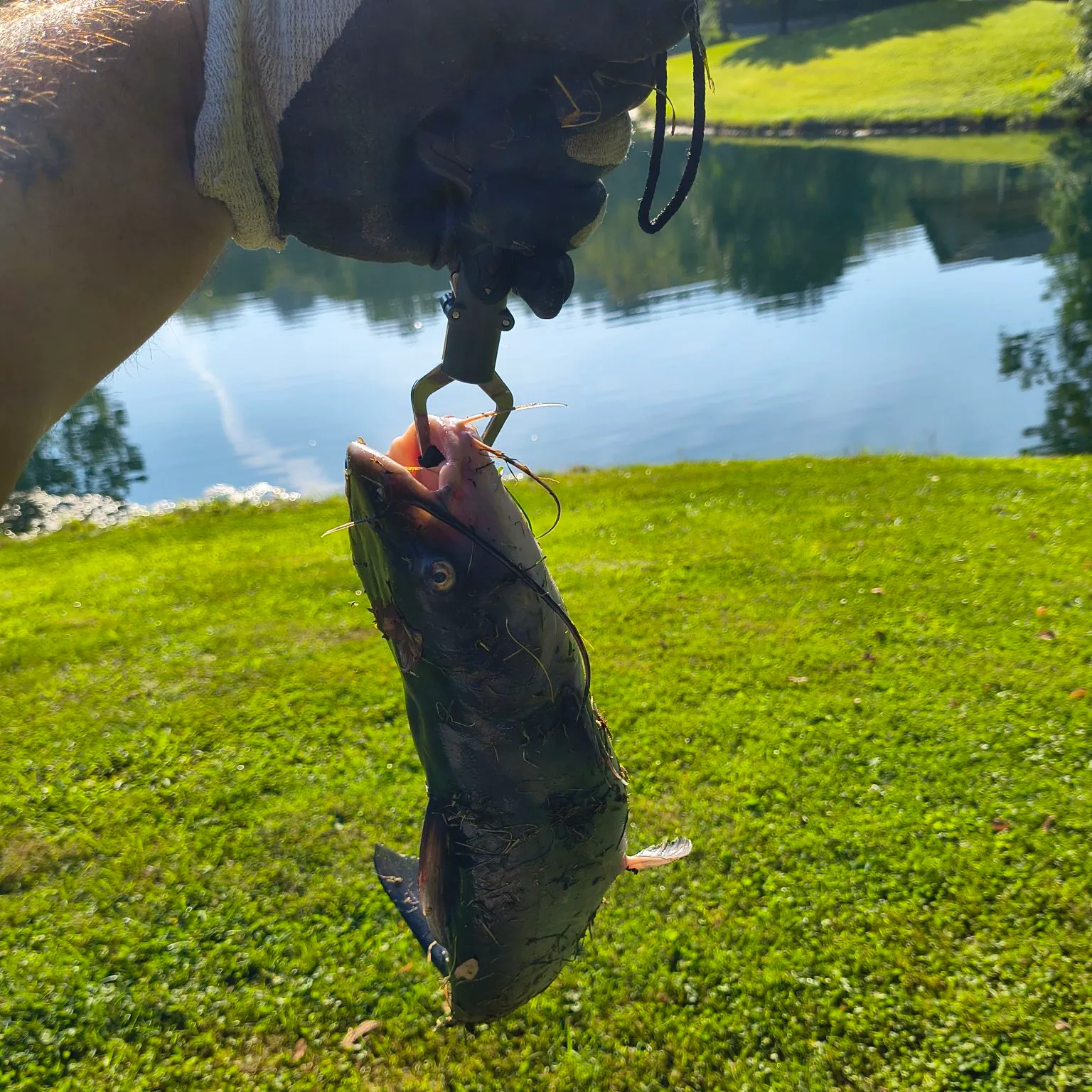 catch