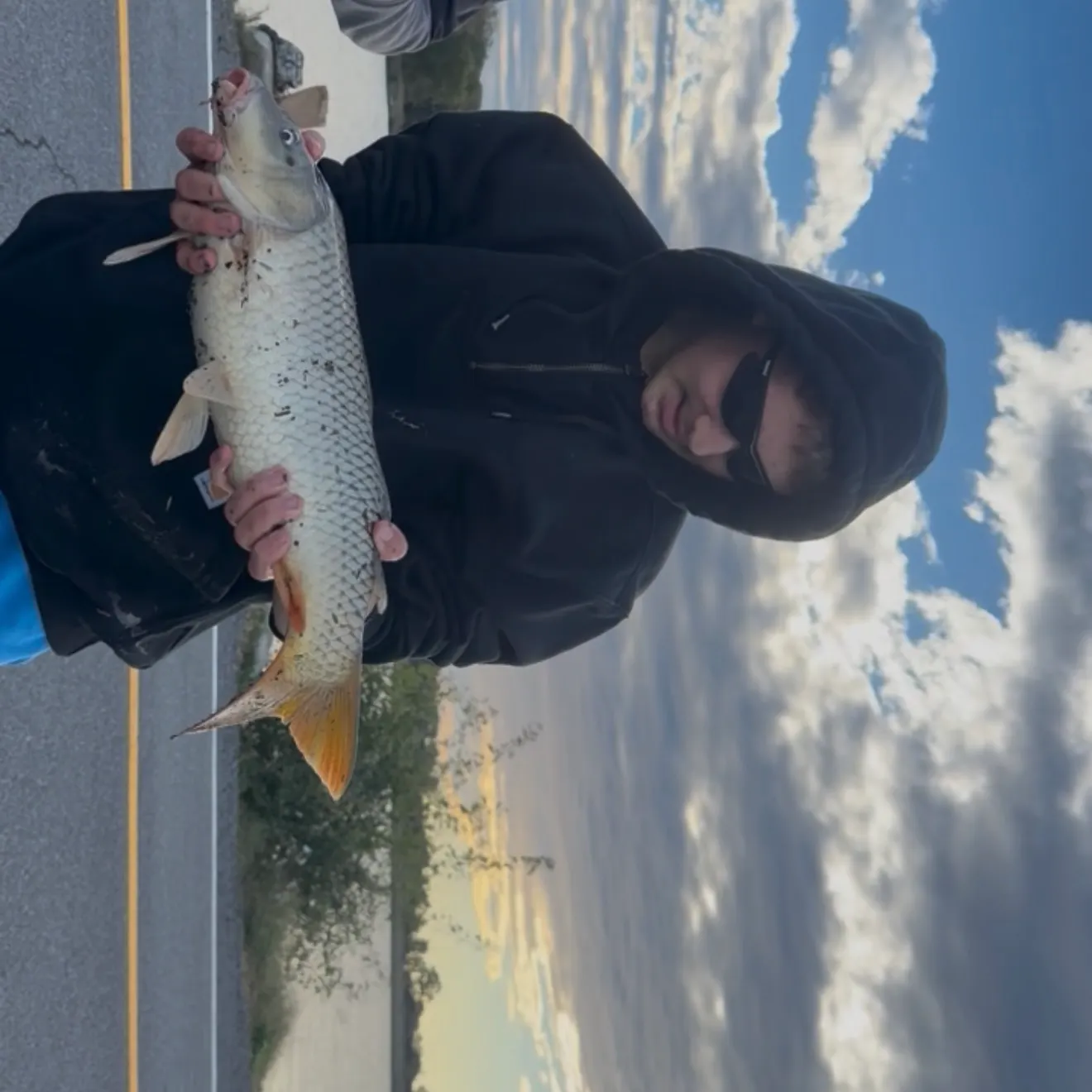 Common carp caught on Fishbrain