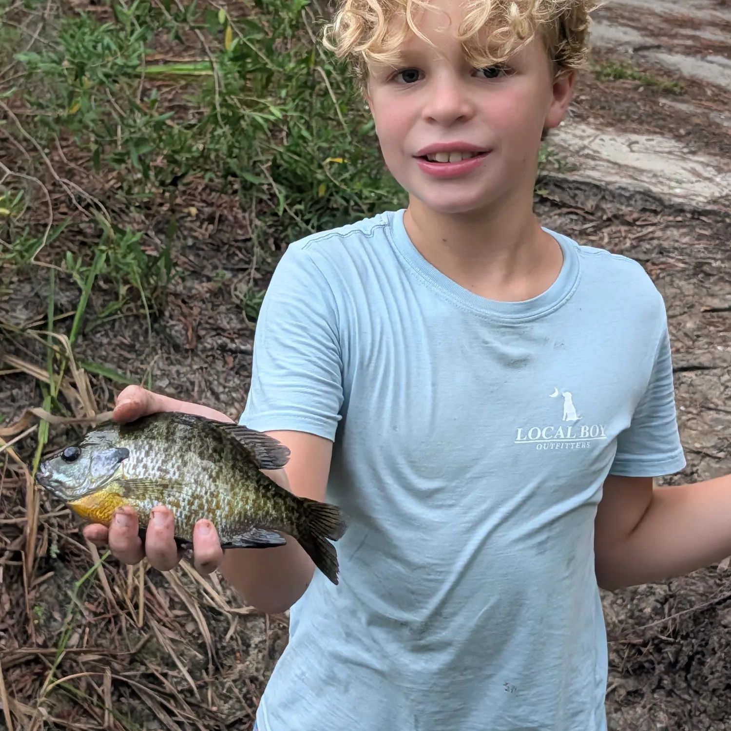 Bluegill caught on Fishbrain