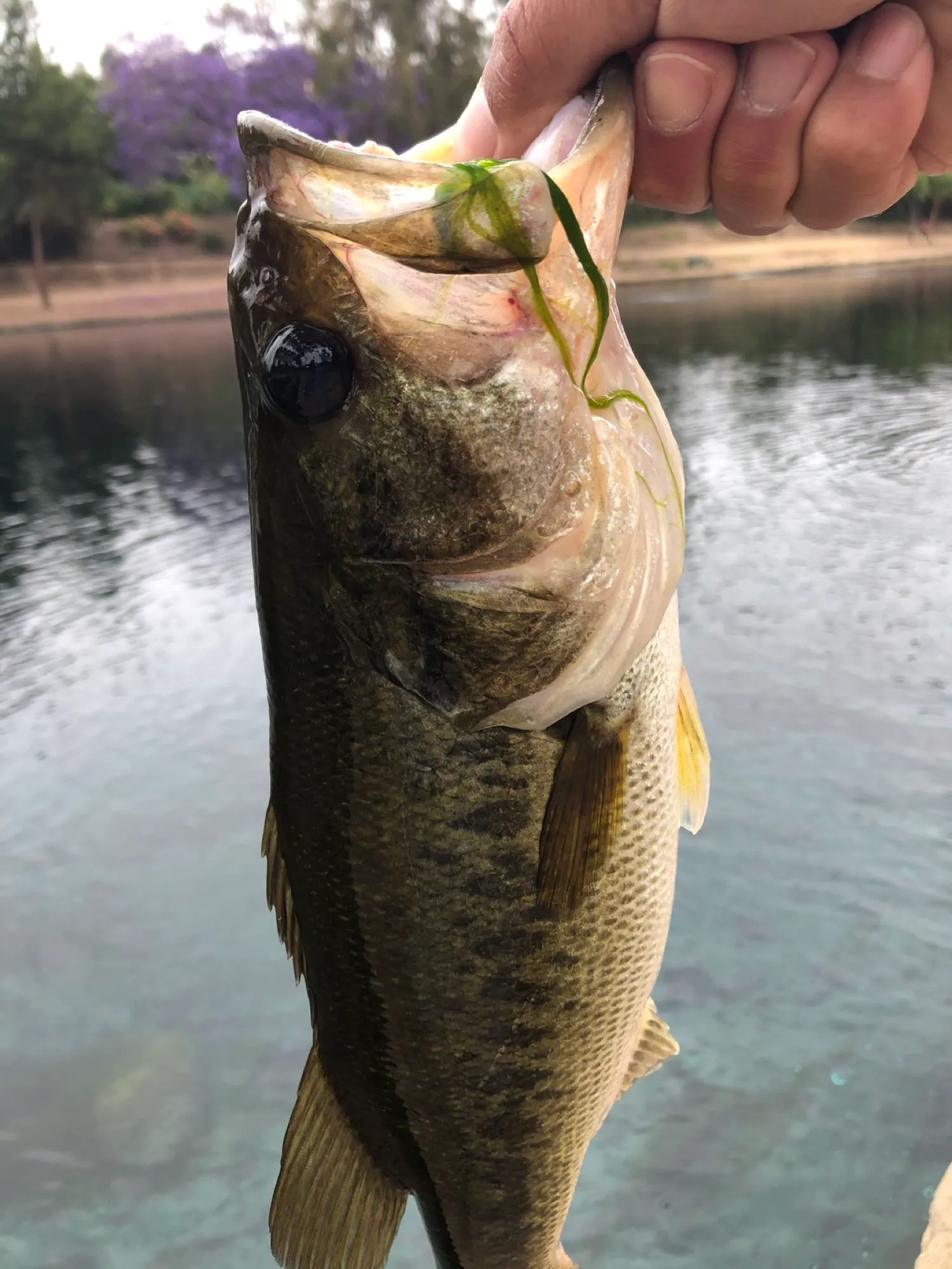 Post image from ocfabfive