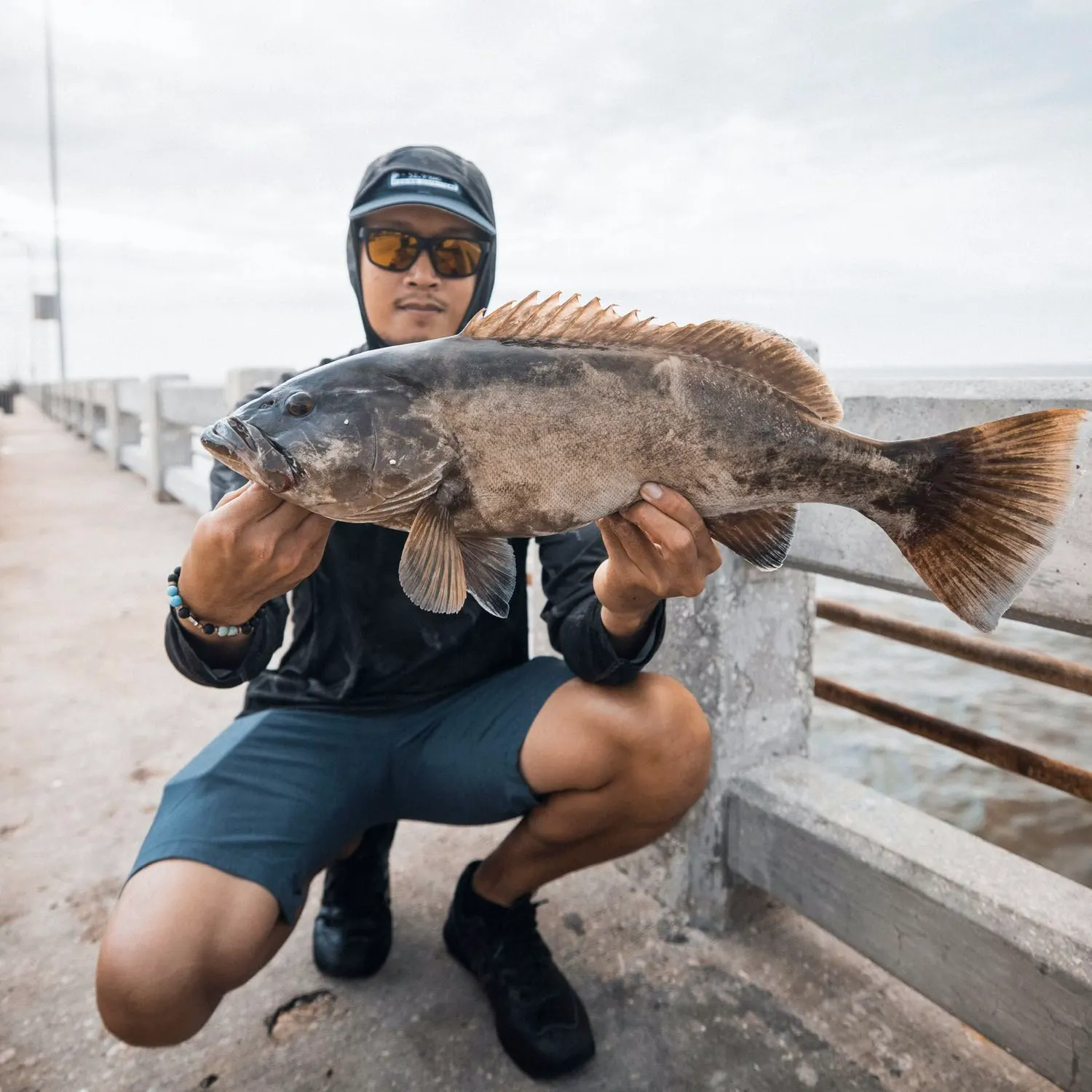 The most popular recent Gag grouper catch on Fishbrain