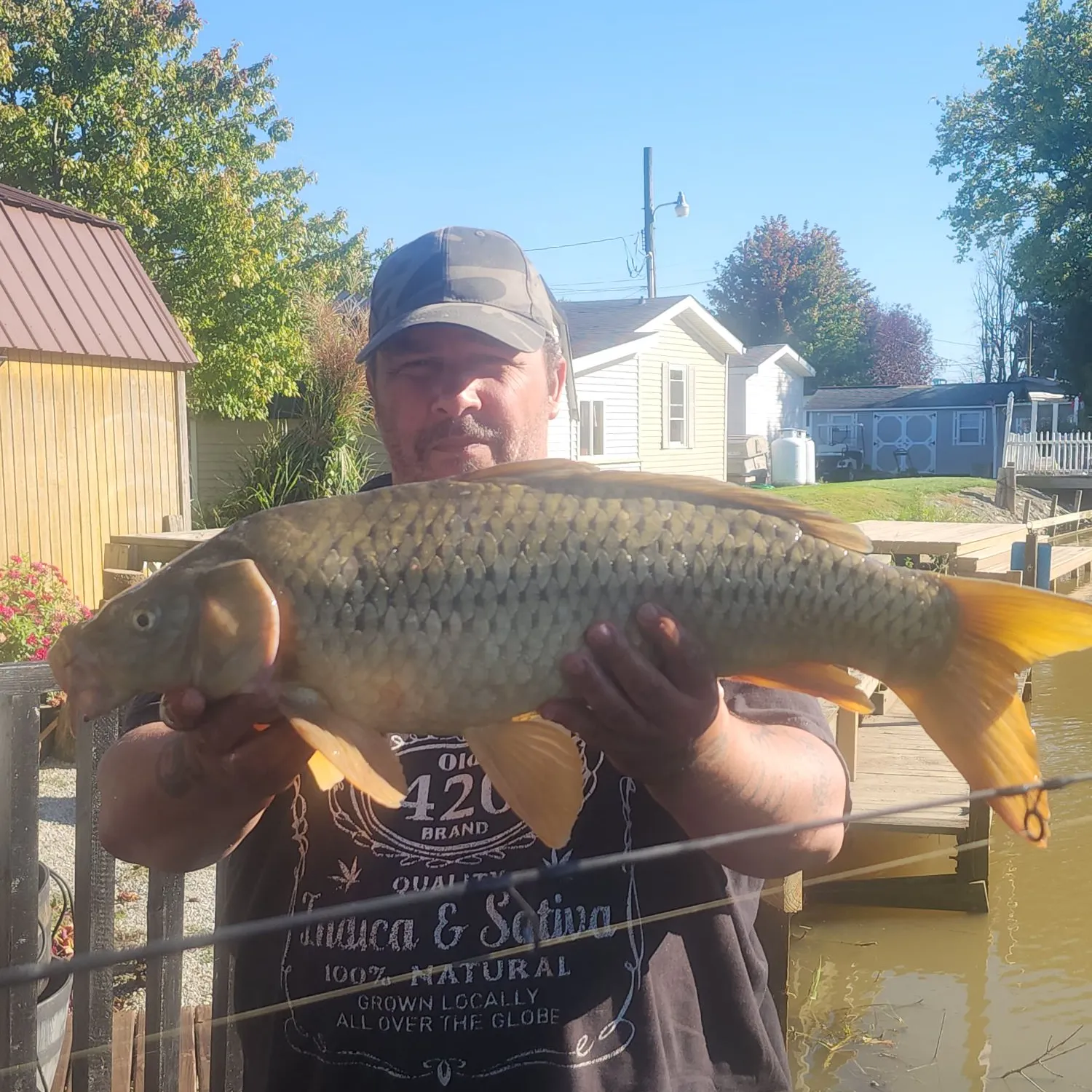 Common carp caught on Fishbrain