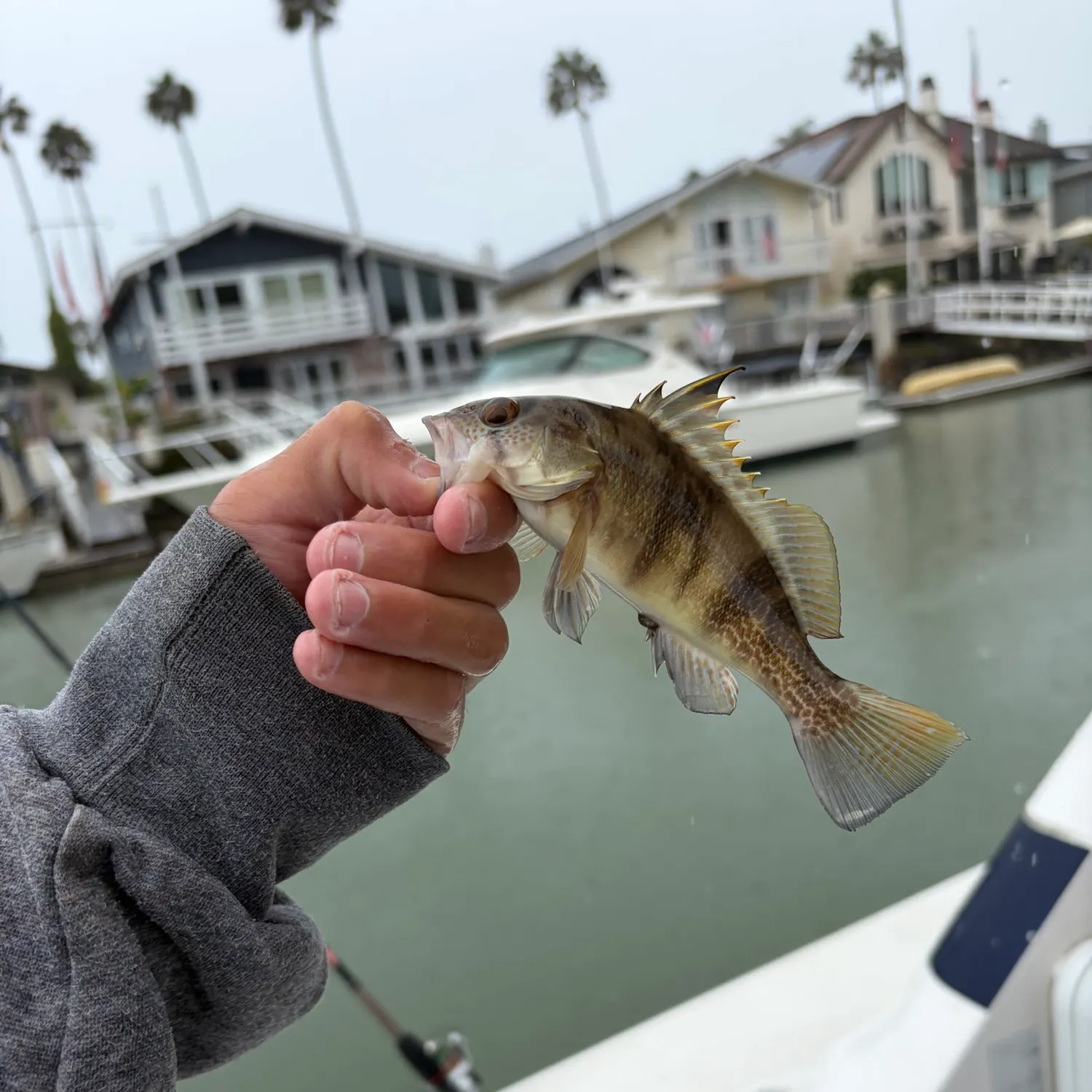 catch