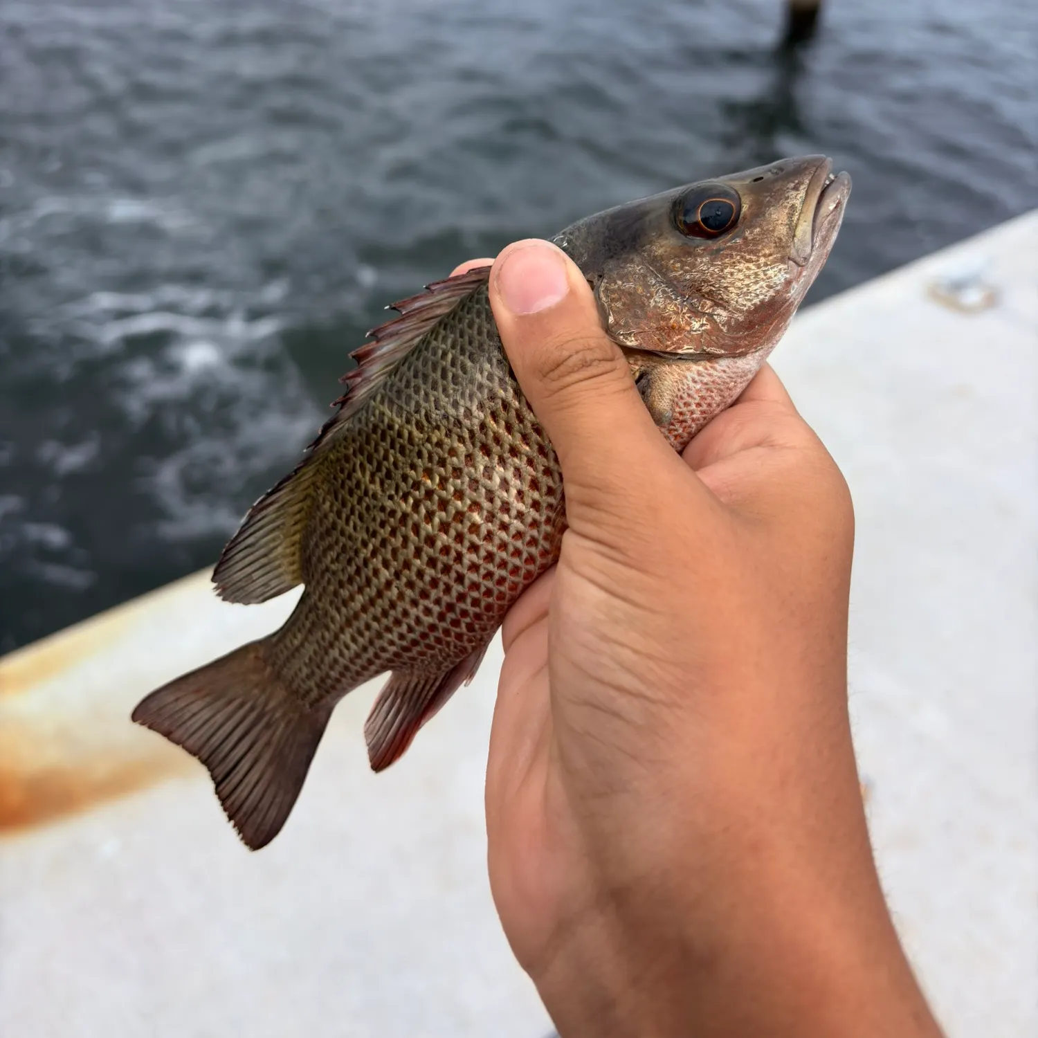 catch