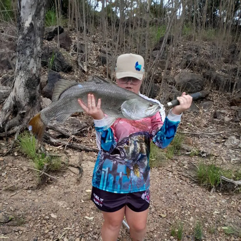 The most recent Barramundi catches on Fishbrain
