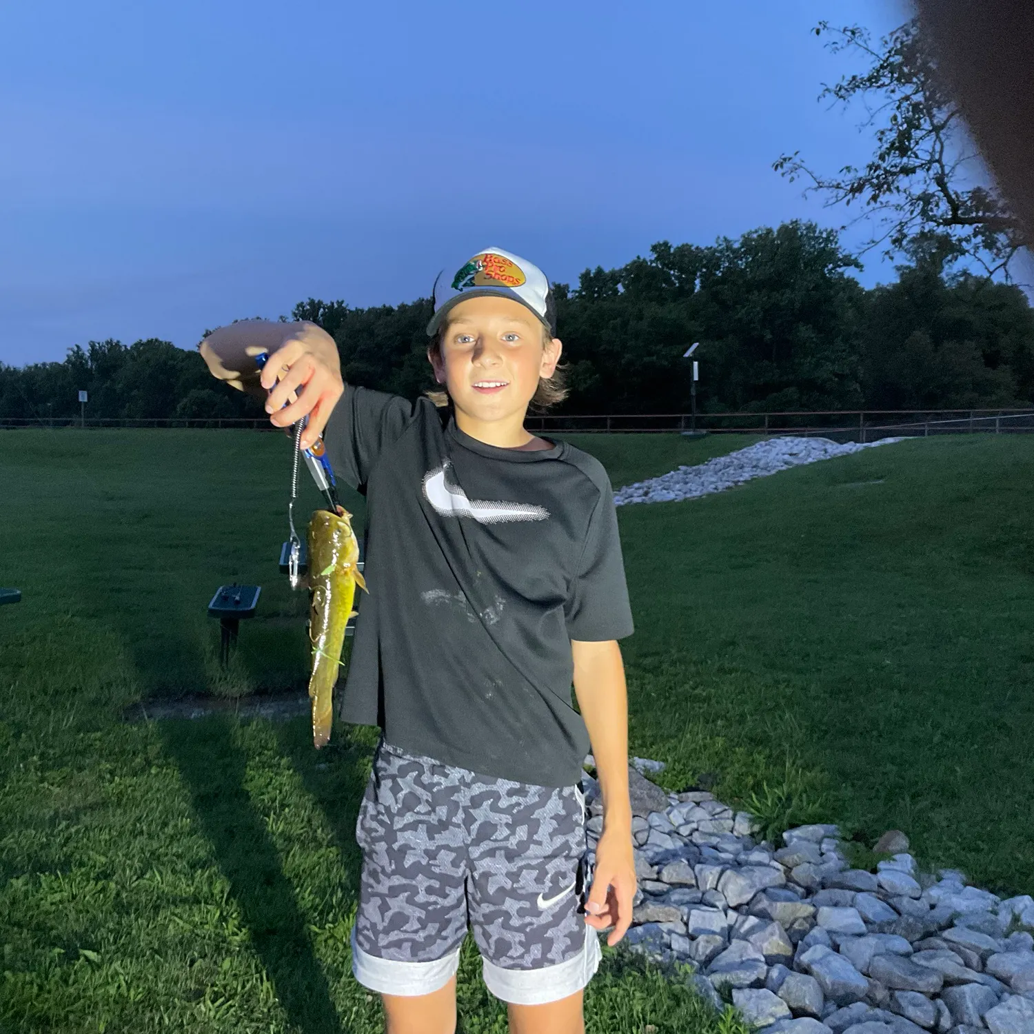 Yellow bullhead caught on Fishbrain