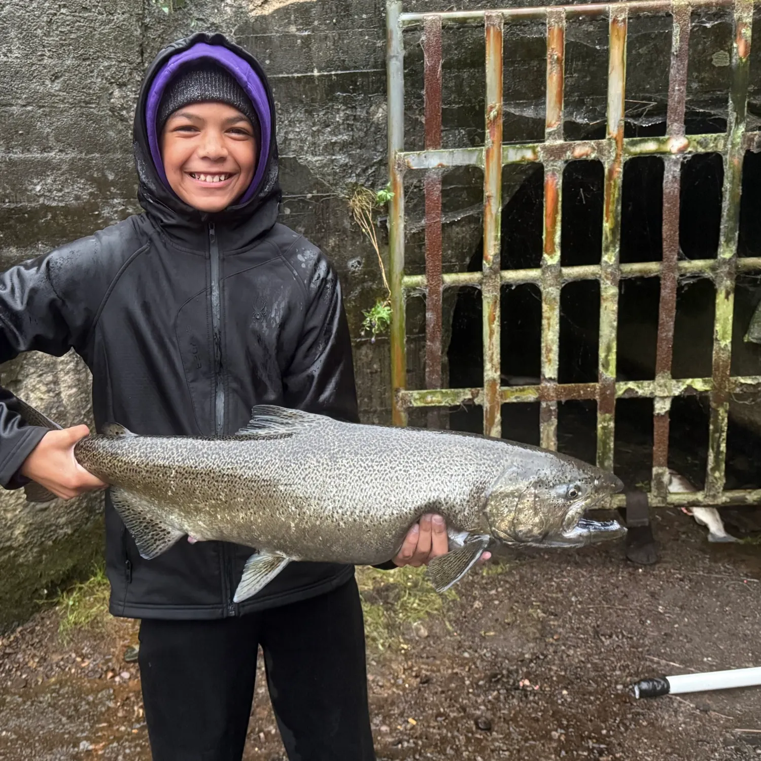 Chinook salmon caught on Fishbrain