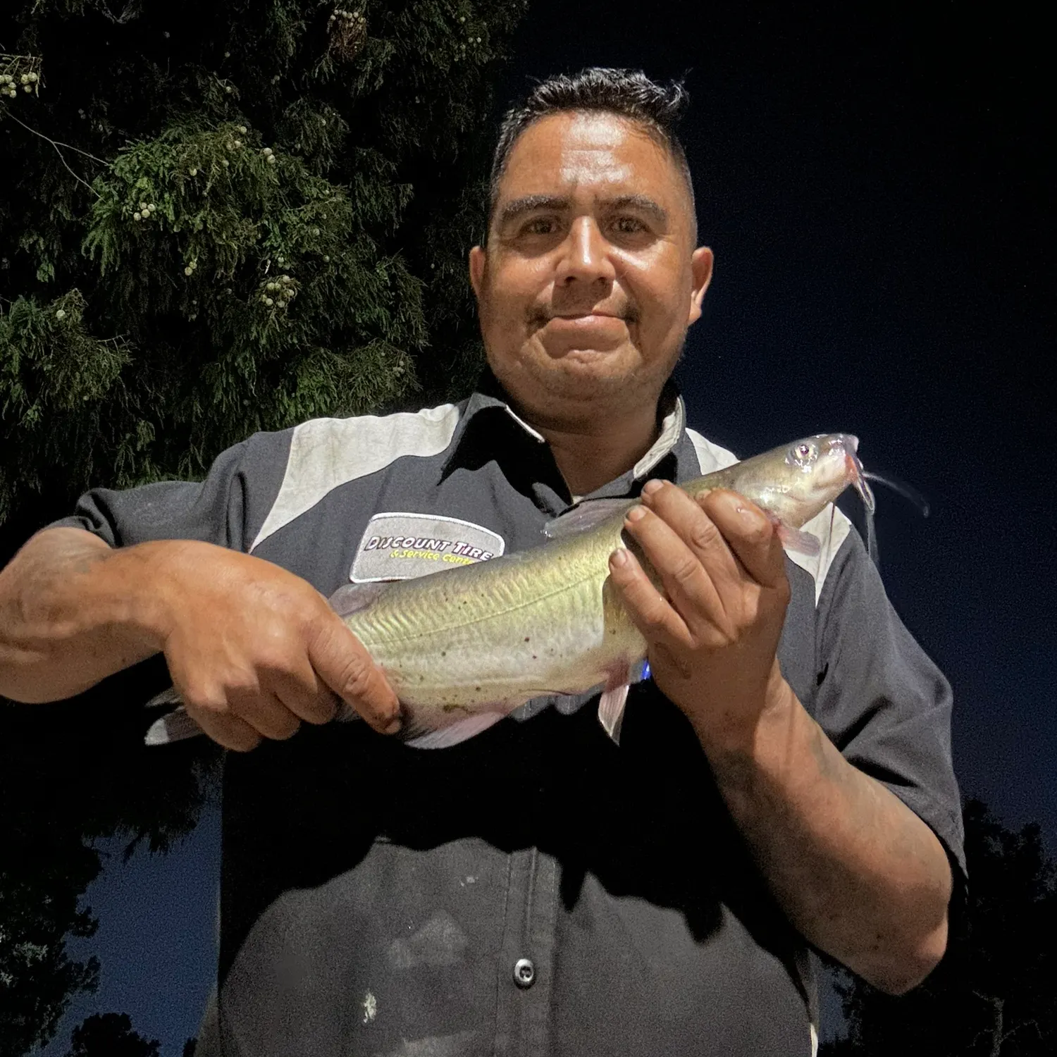 Channel catfish caught on Fishbrain