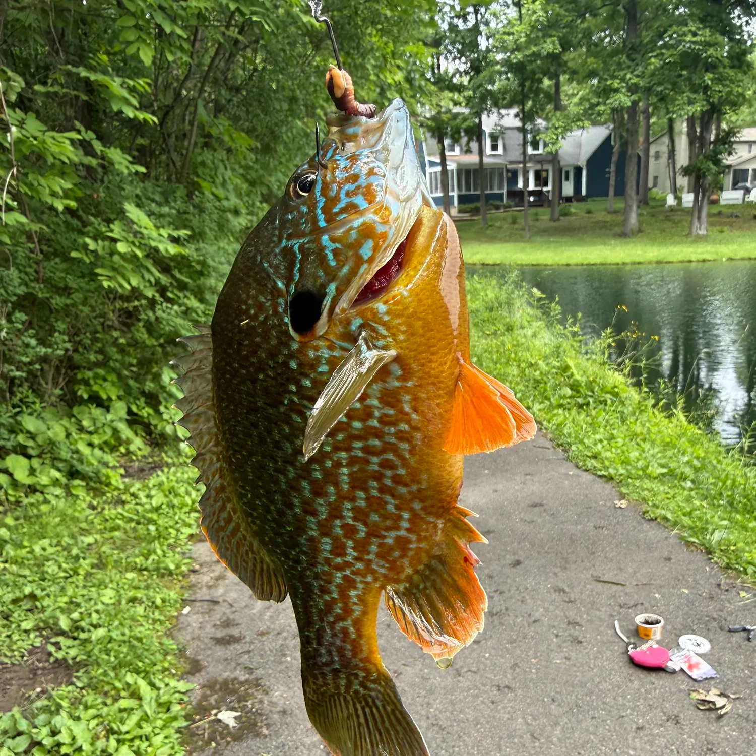 catch