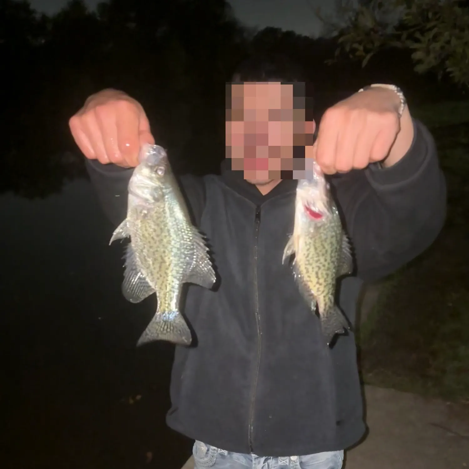 White crappie caught on Fishbrain