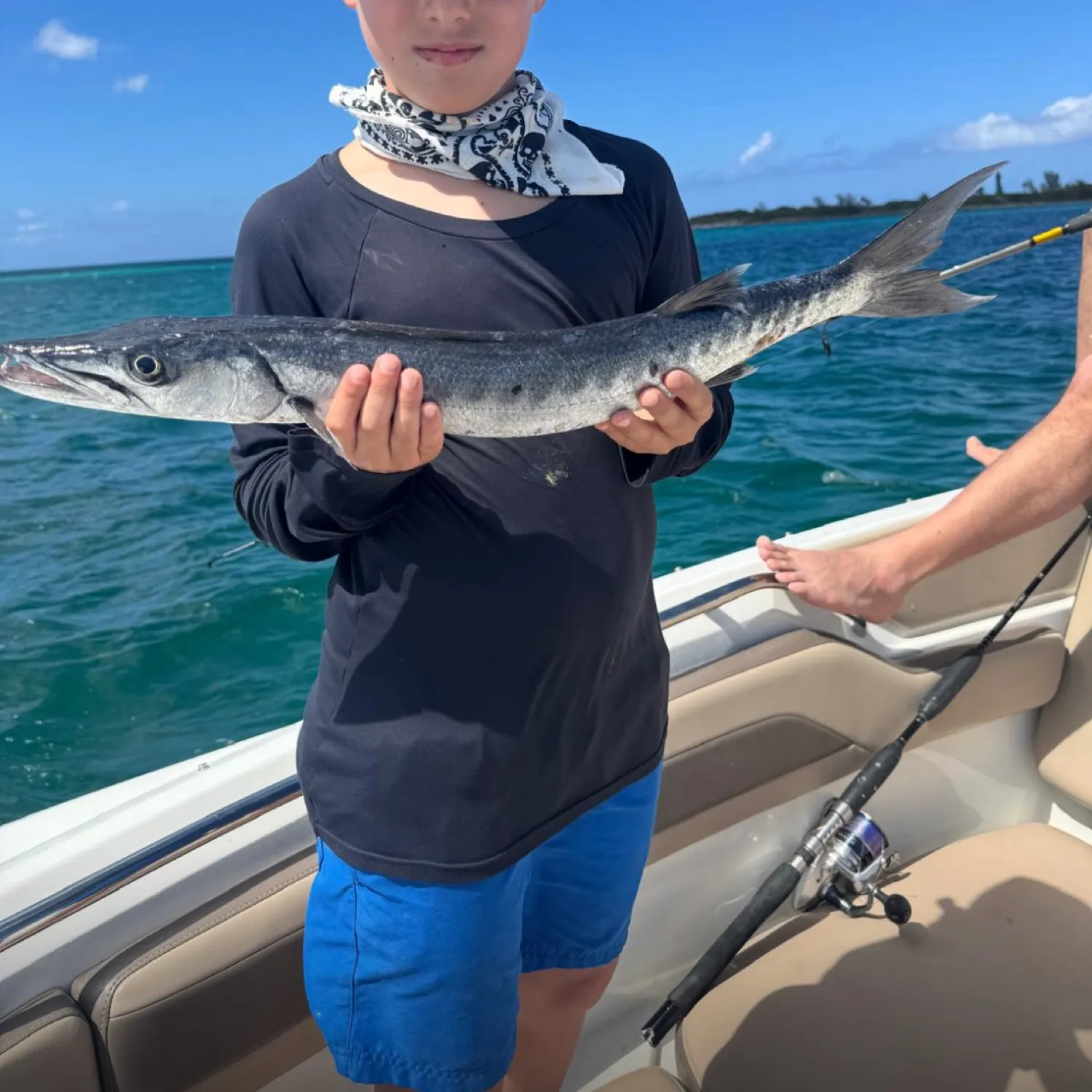 The most popular recent Pickhandle barracuda catch on Fishbrain