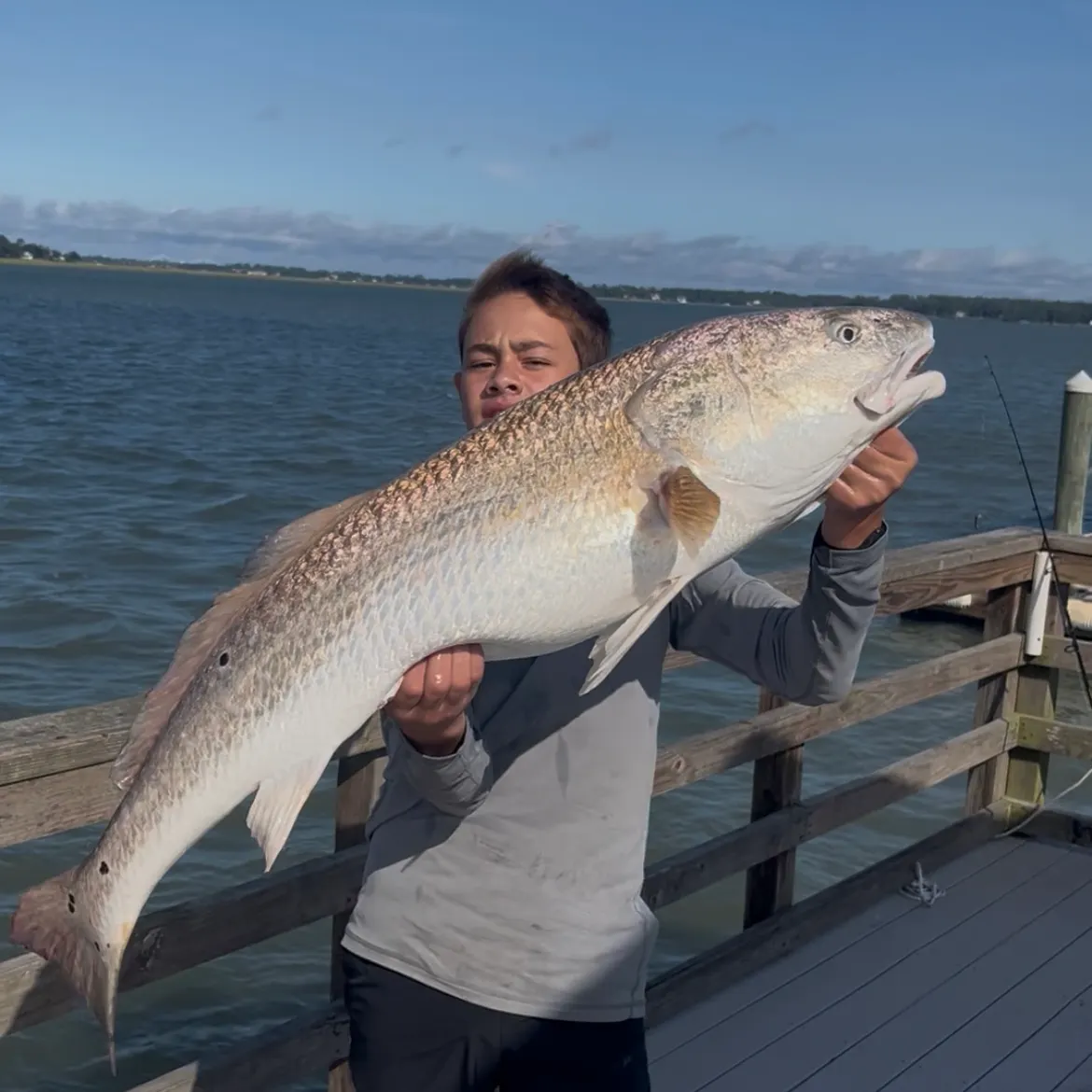Red drum caught on Fishbrain