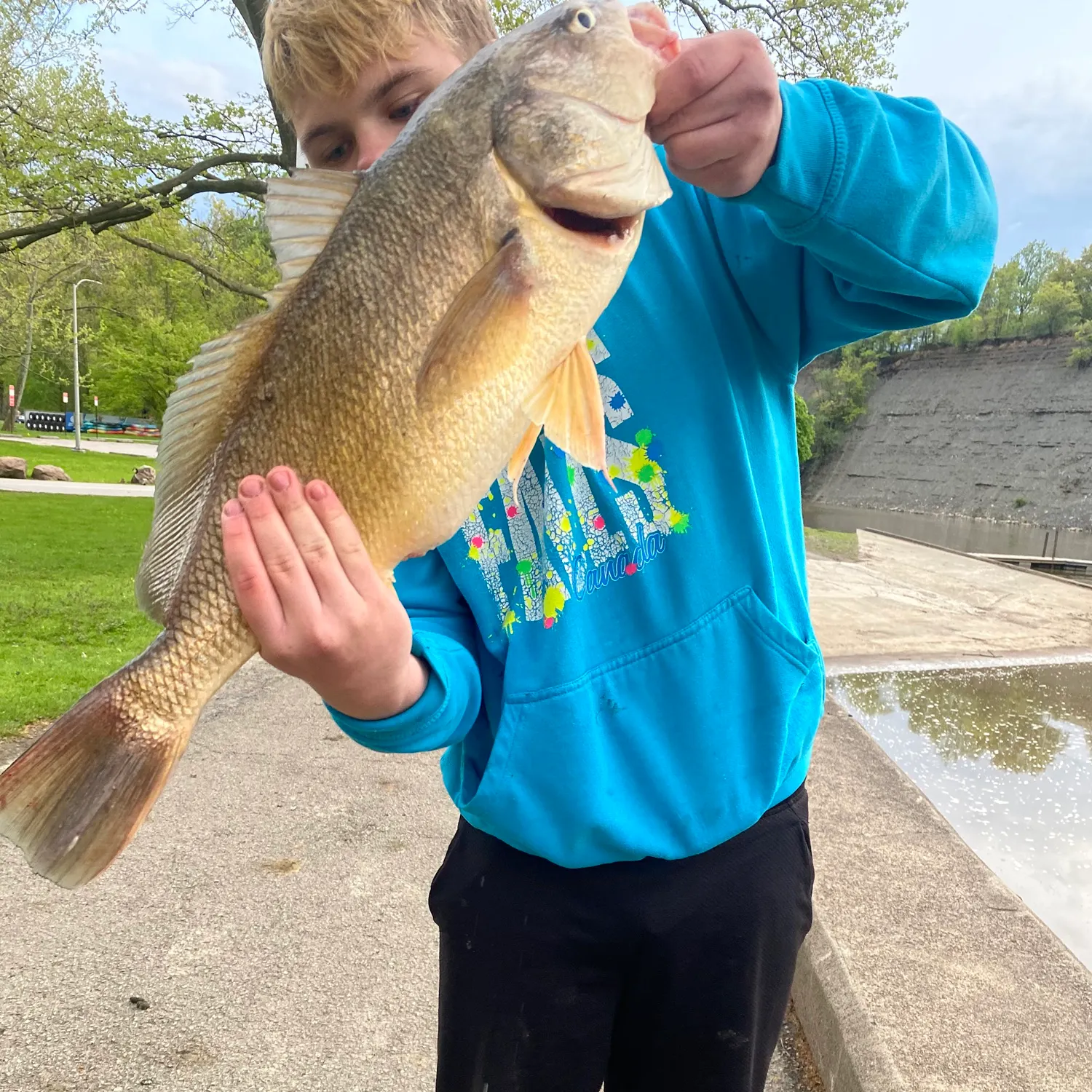 recently logged catches